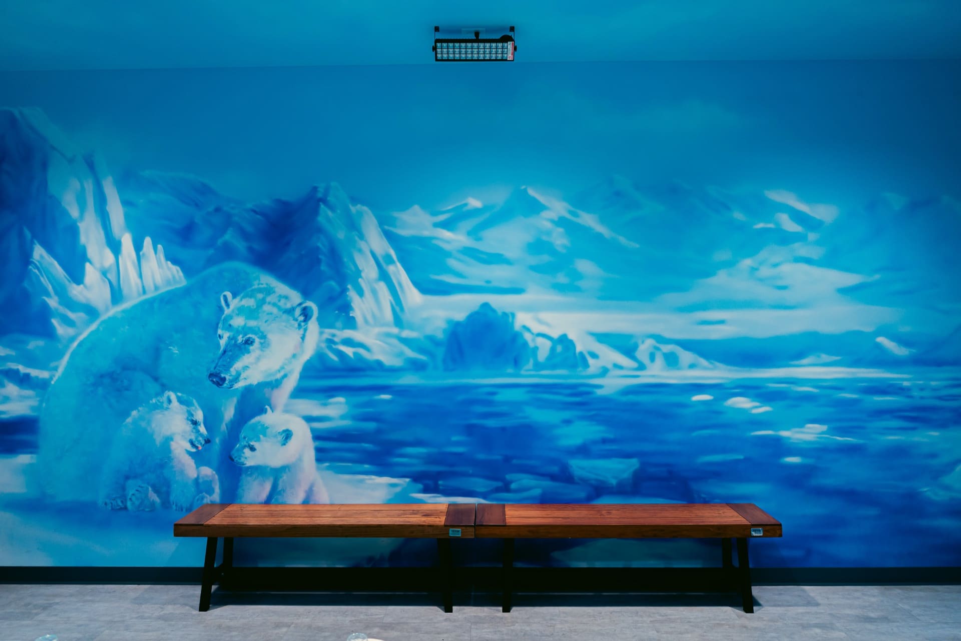 Ice party room, photo 9 of 10