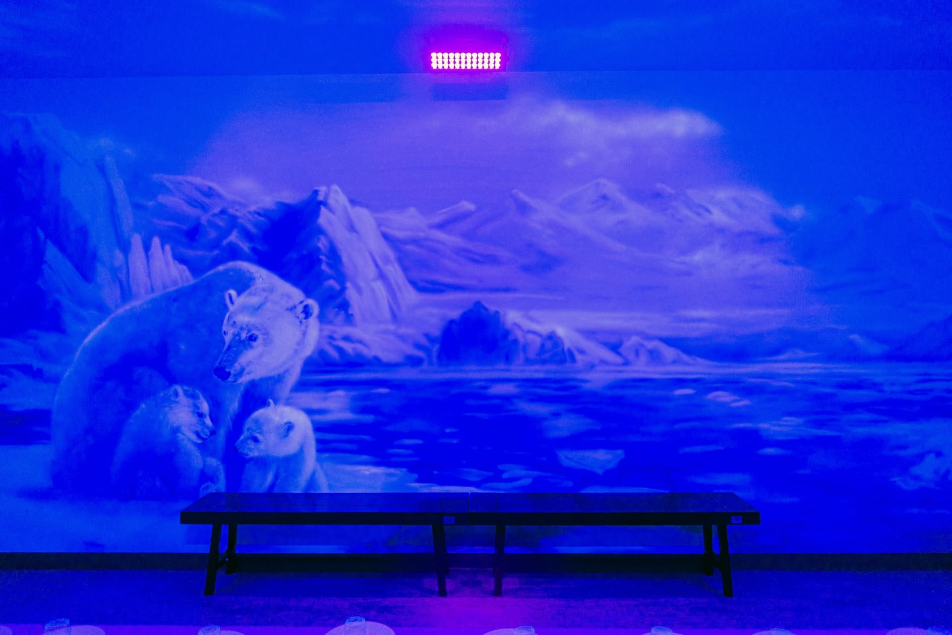 Ice party room, photo 10 of 10