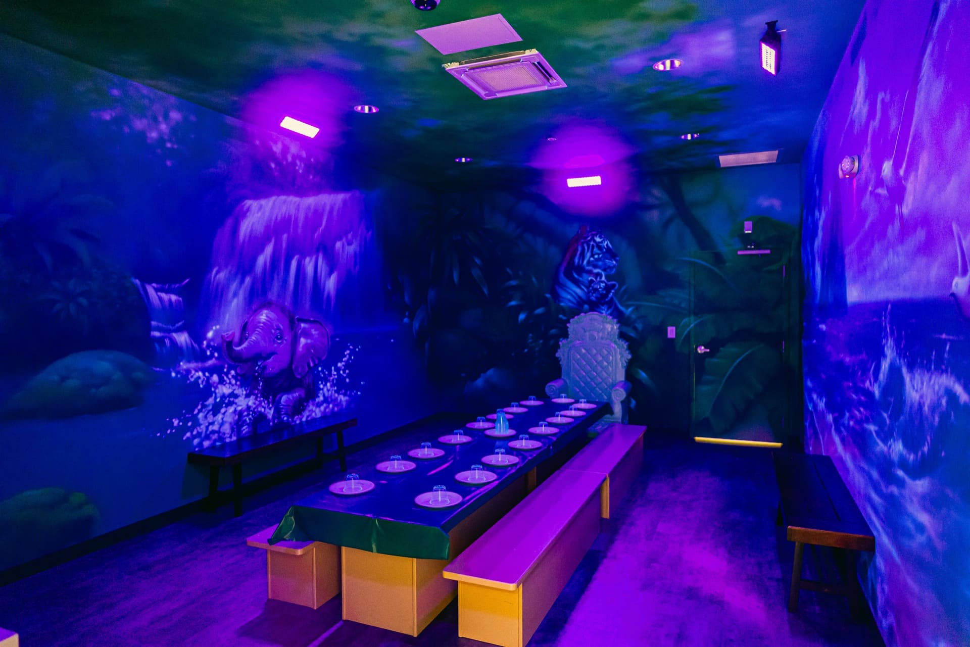 Jungle party room, photo 2 of 9