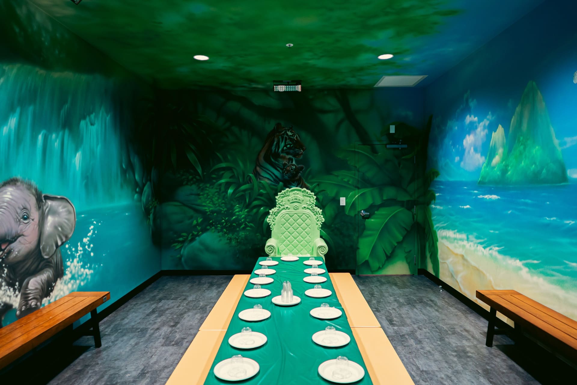 Jungle party room, photo 3 of 9
