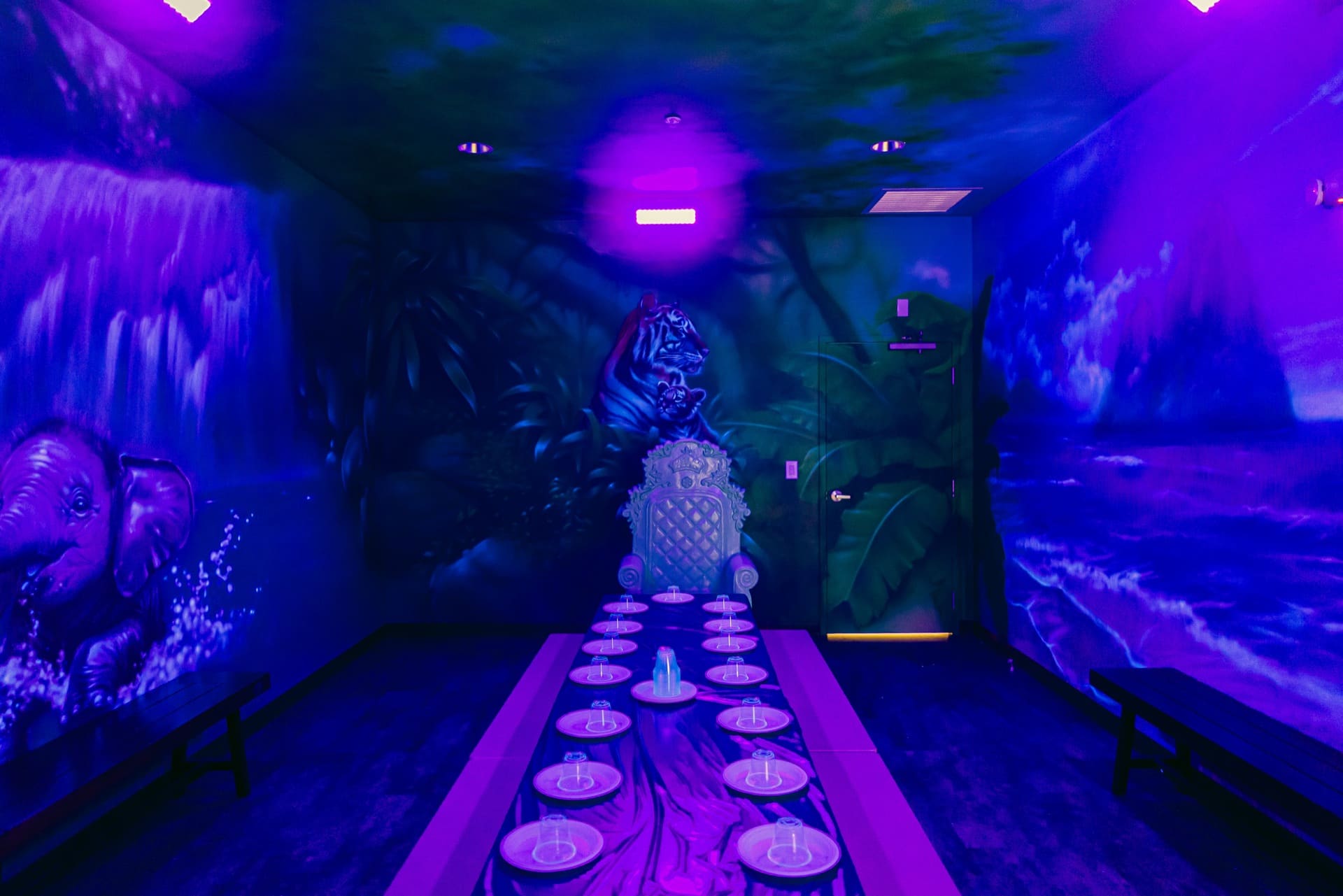 Jungle party room, photo 4 of 9