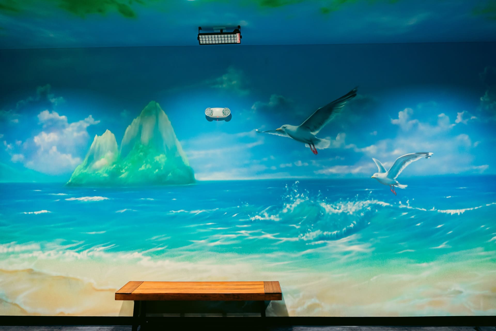 Jungle party room, photo 5 of 9