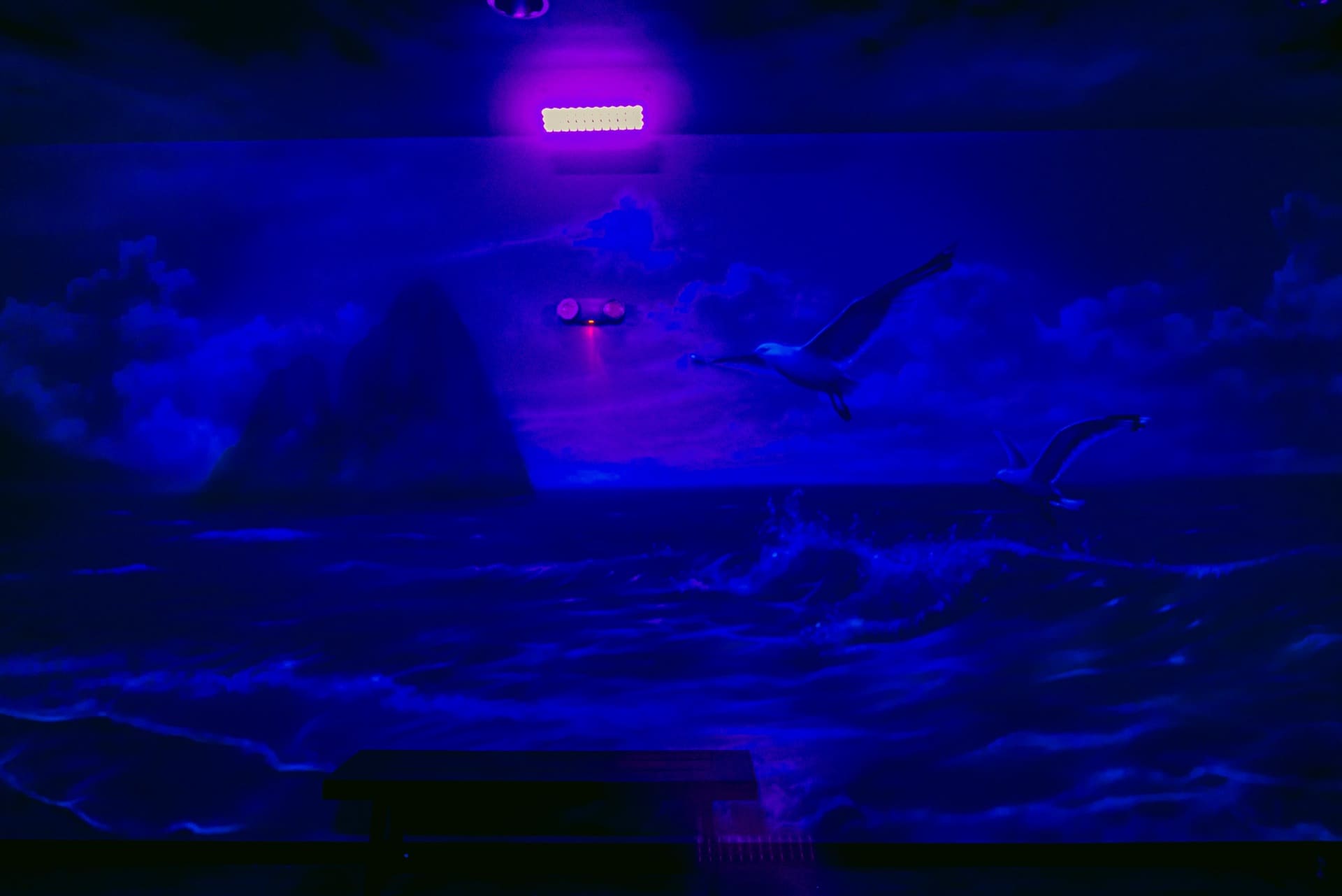 Jungle party room, photo 6 of 9
