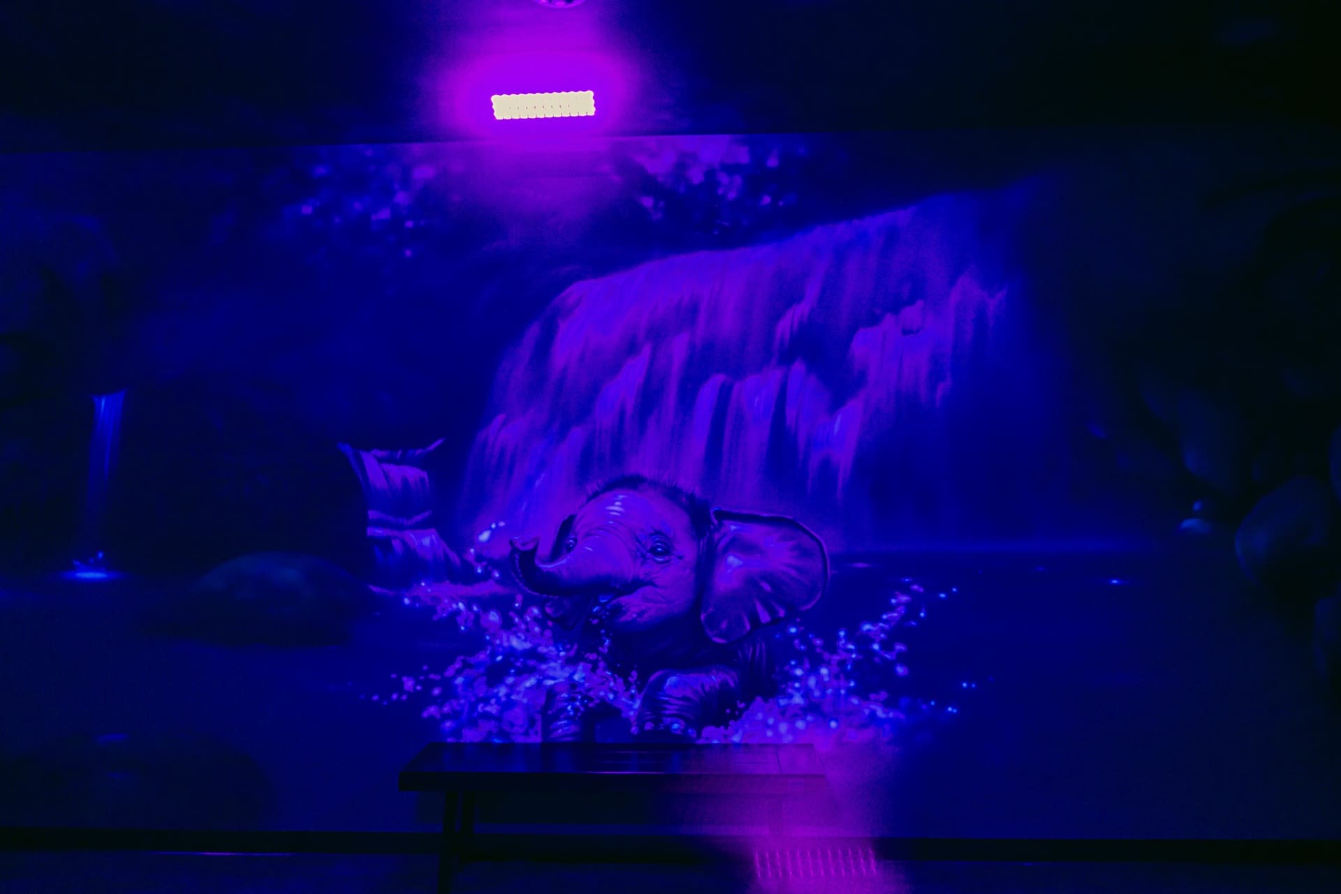 Jungle party room, photo 9 of 9