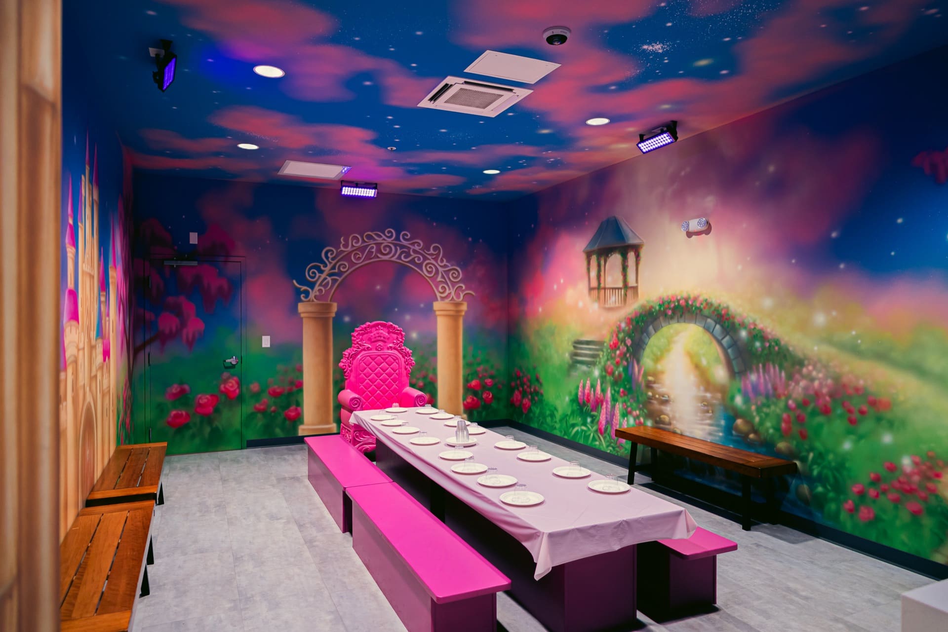Princess party room, photo 1 of 9