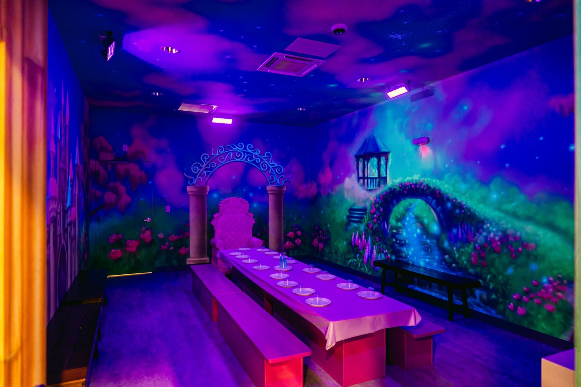 Princess party room, photo 2 of 9