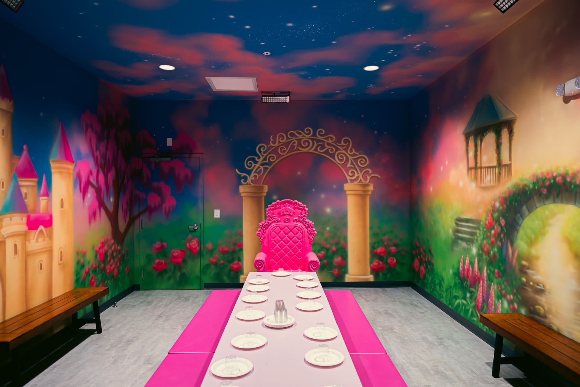 Princess party room, photo 3 of 9