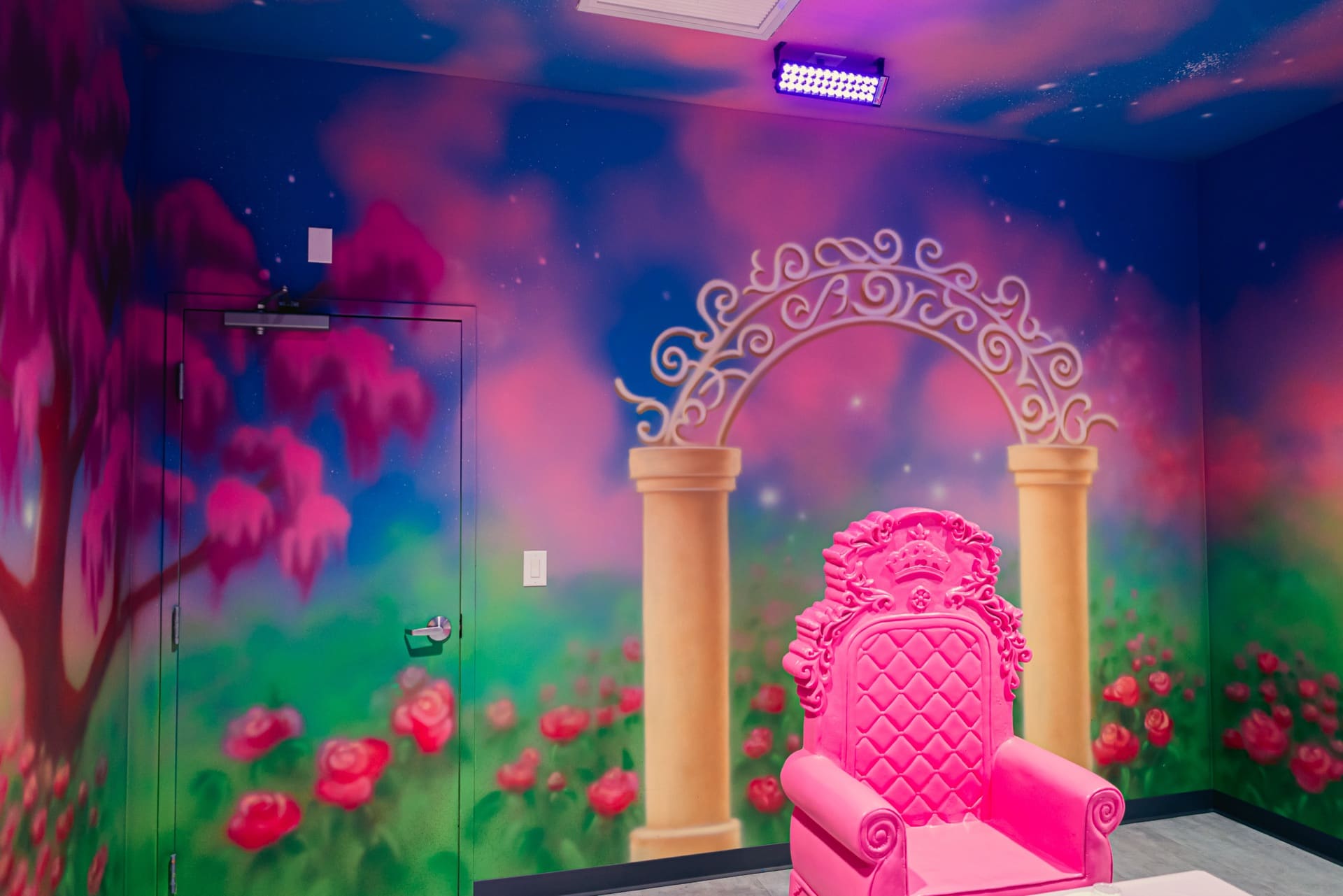 Princess party room, photo 6 of 9