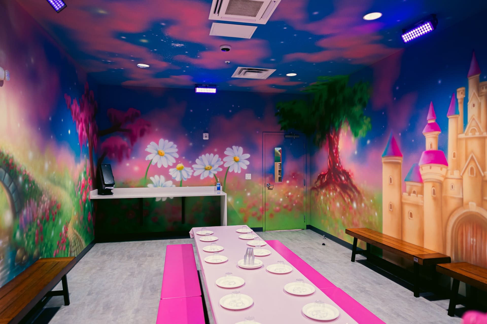 Princess party room, photo 7 of 9