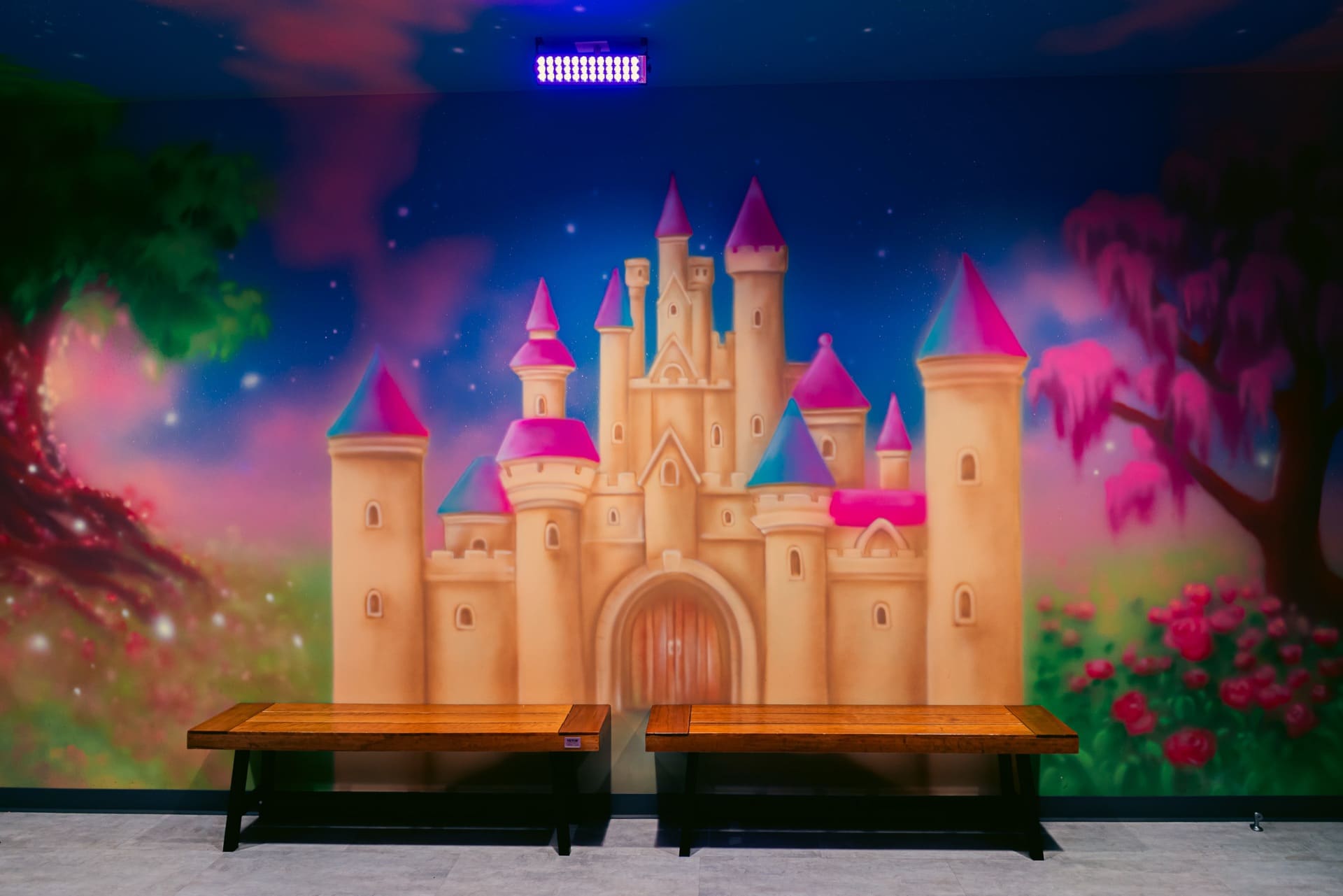 Princess party room, photo 8 of 9