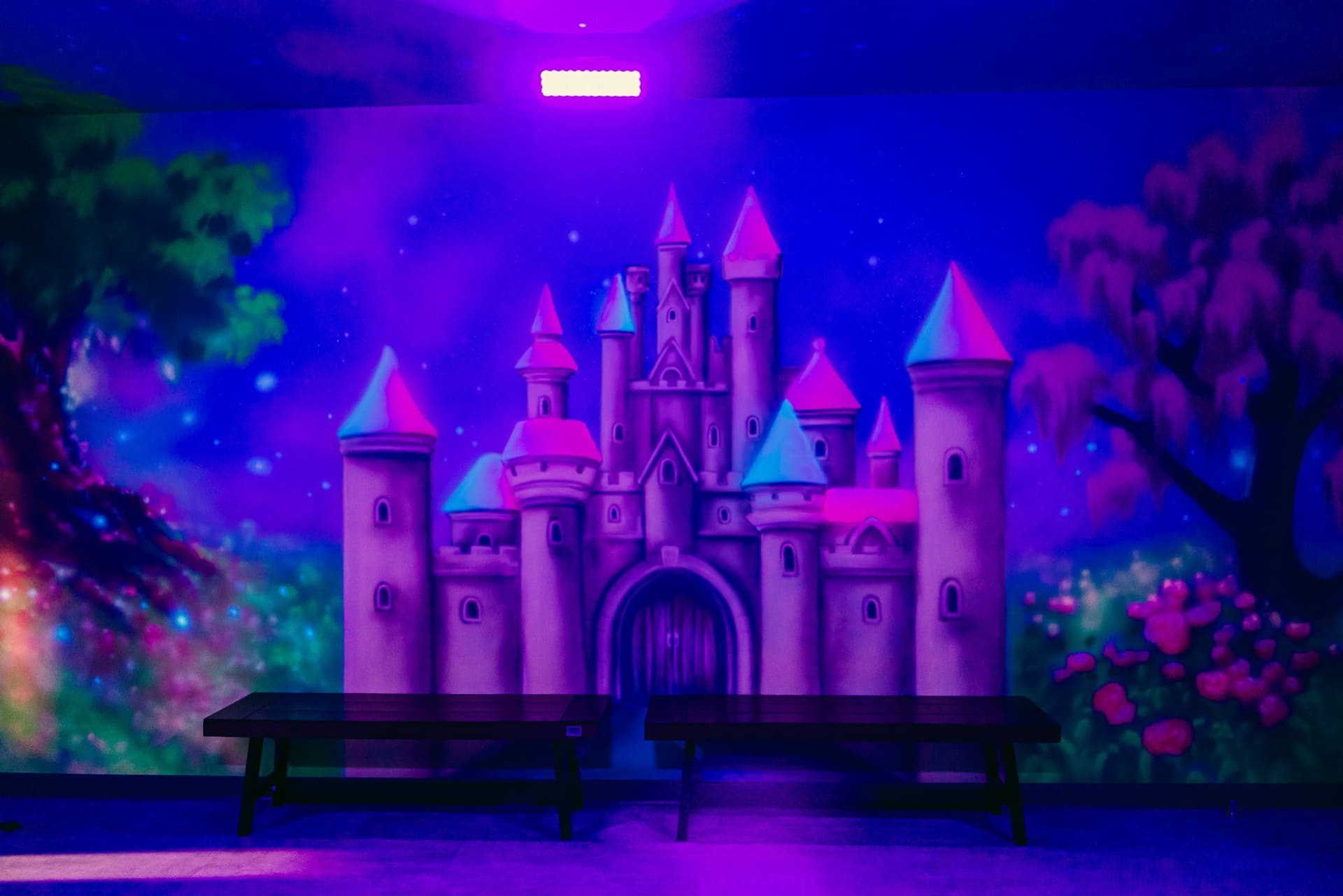 Princess party room, photo 9 of 9