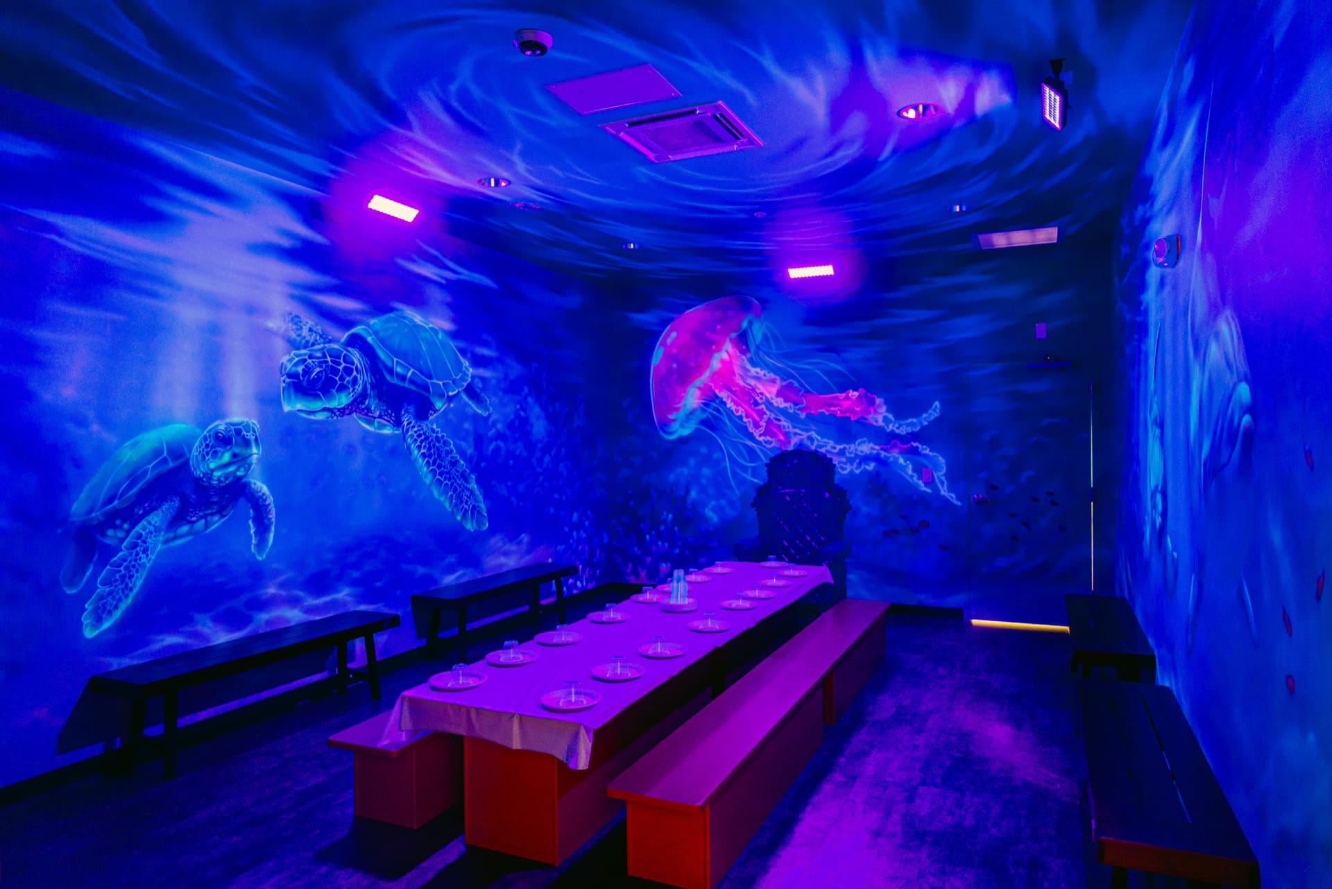 Underwater party room, photo 2 of 8