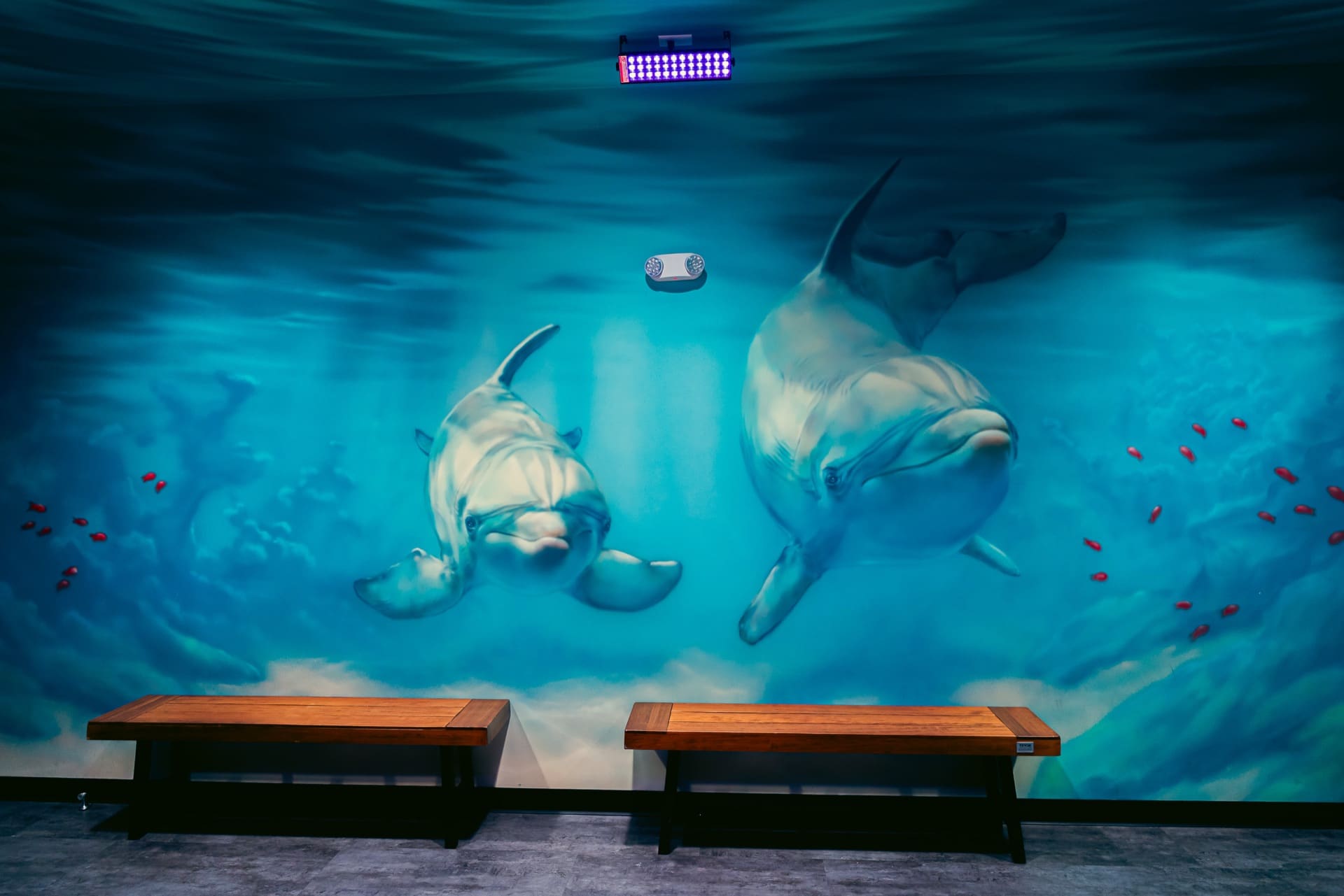 Underwater party room, photo 4 of 8