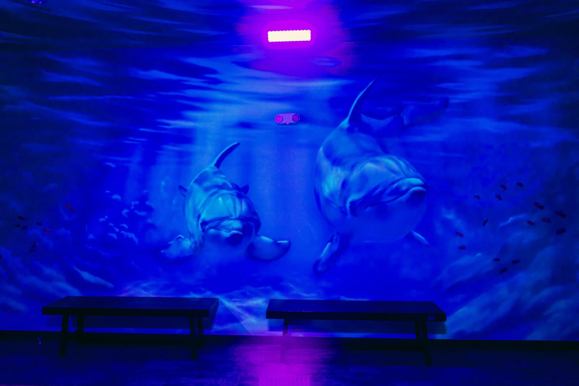 Underwater party room, photo 5 of 8