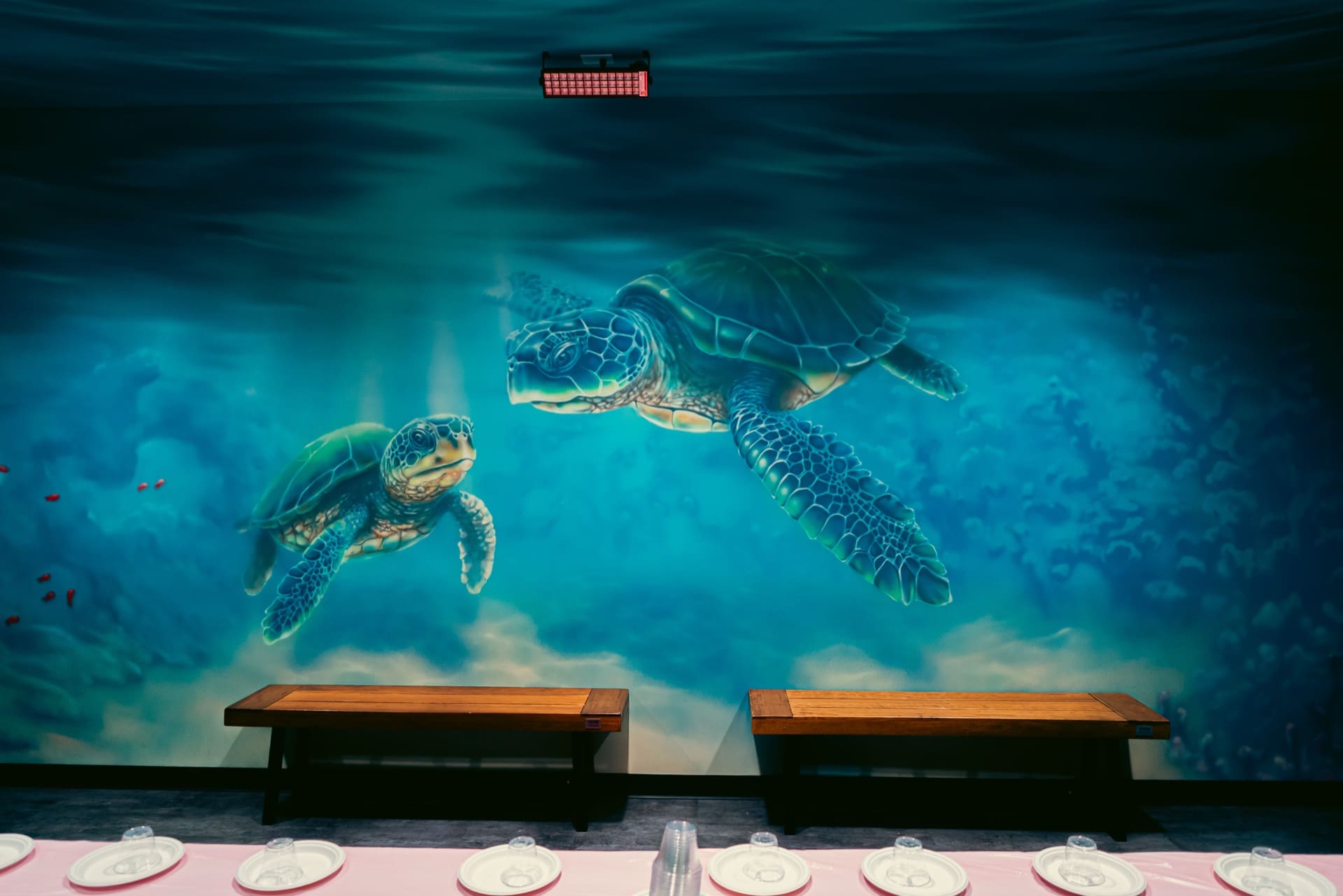Underwater party room, photo 7 of 8