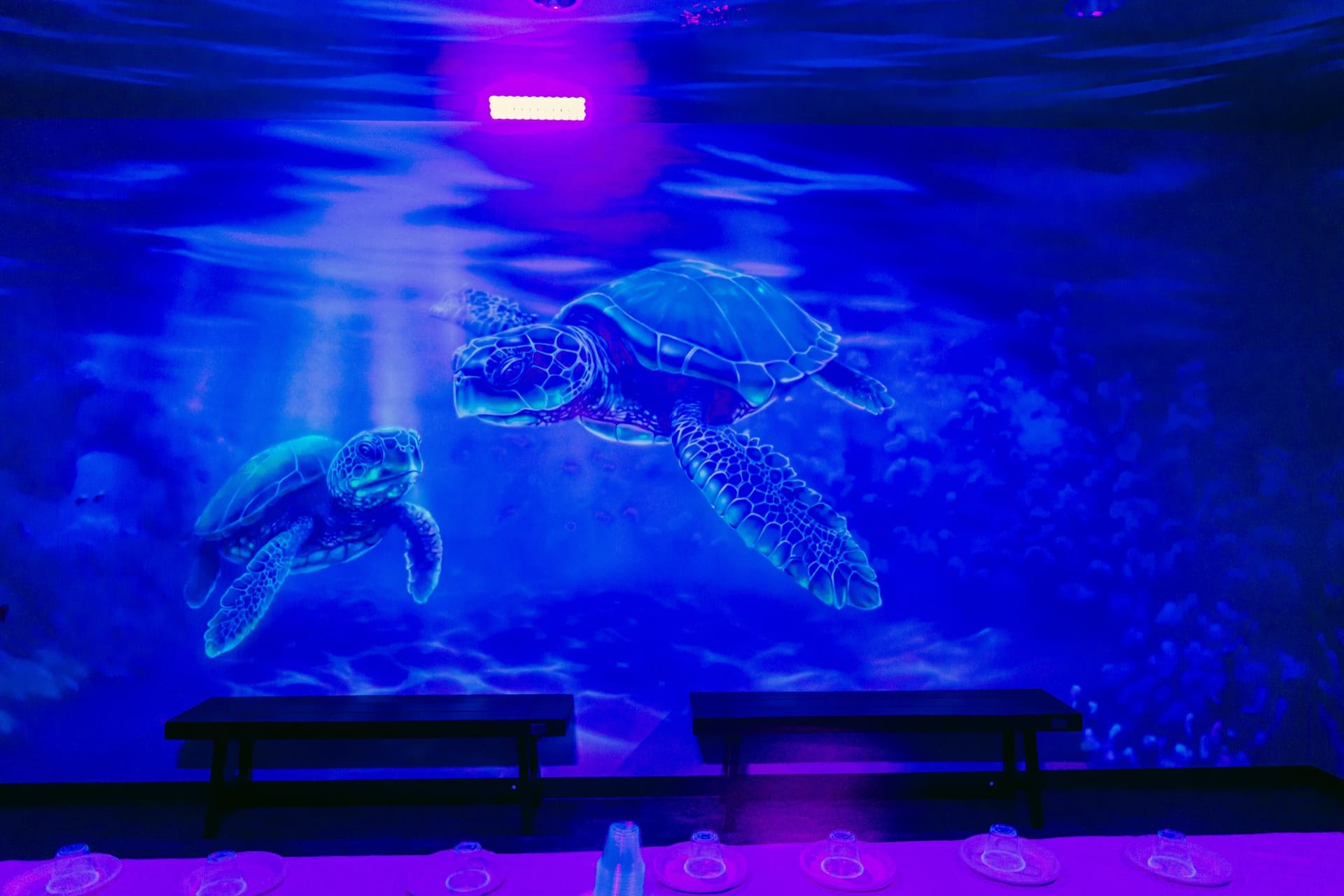 Underwater party room, photo 8 of 8