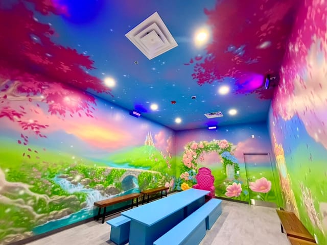 Princess Room Themed Room