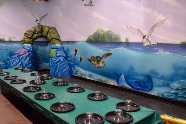 Island Room Themed Room