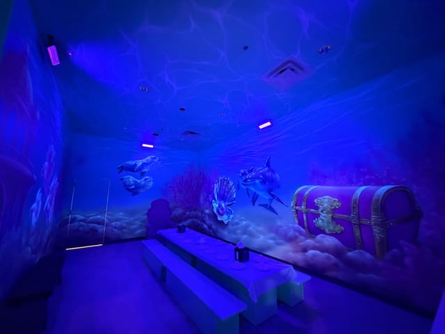 Mermaid Room Themed Room