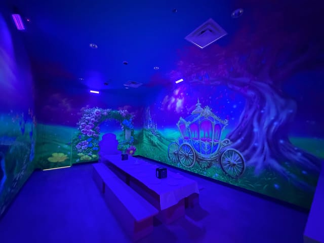 Princess Room Themed Room