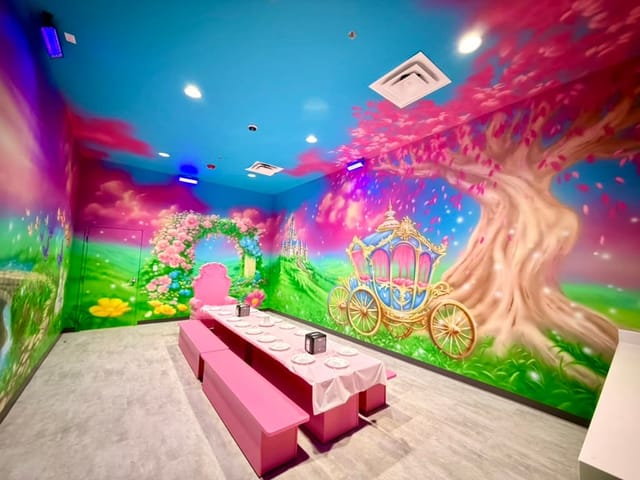 Princess Room Themed Room