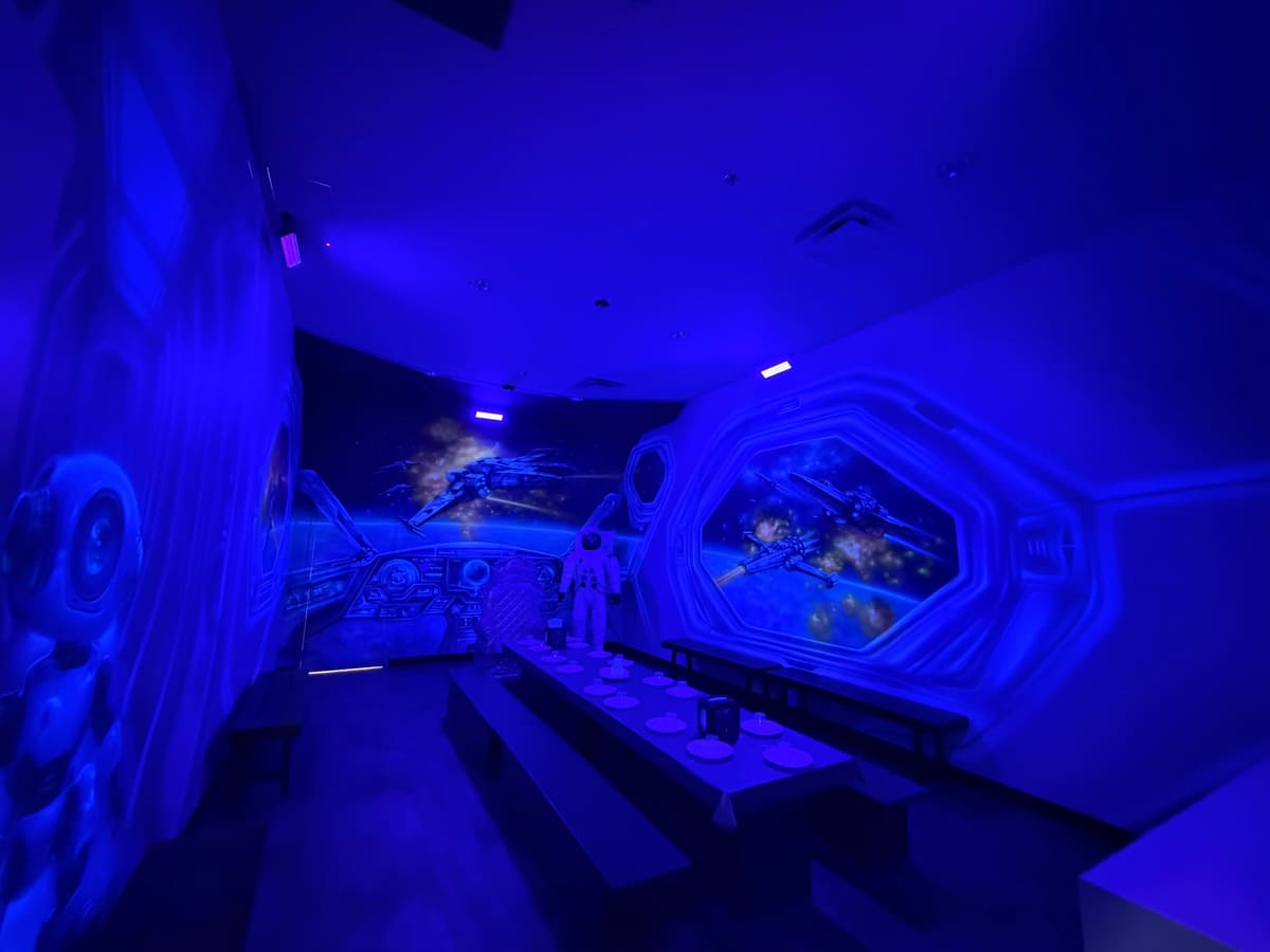 Space Room Themed Room