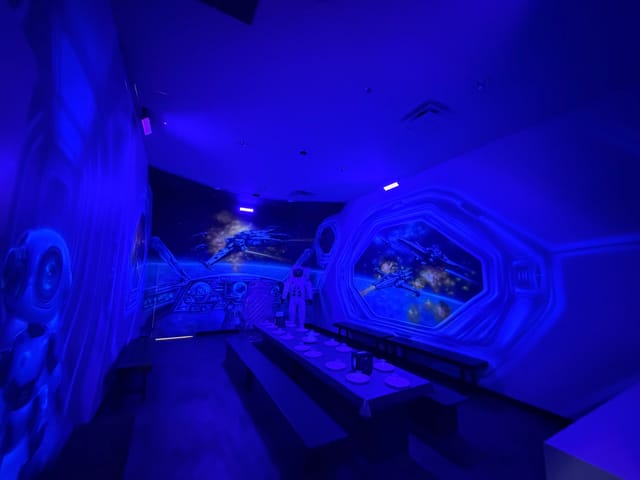 Space Room Themed Room