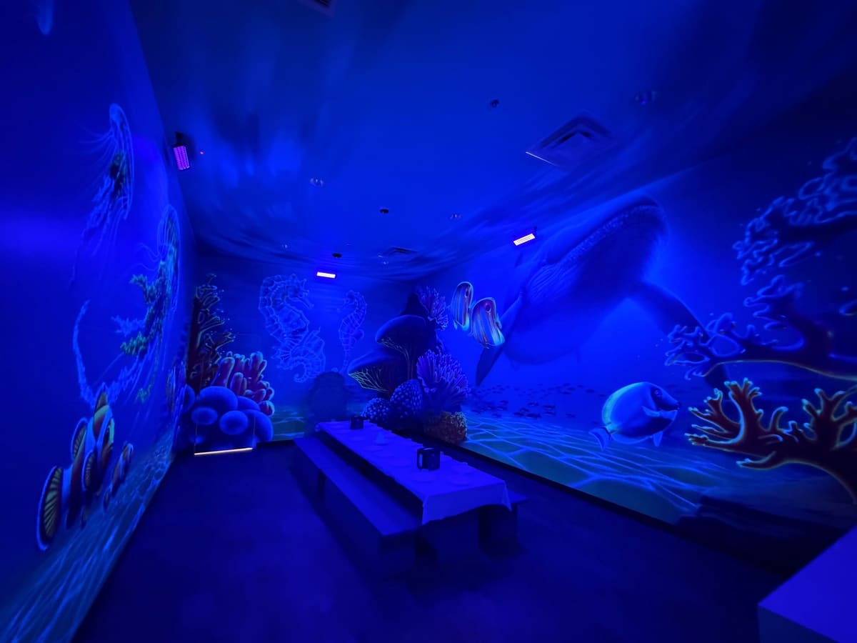 Underwater Room Themed Room