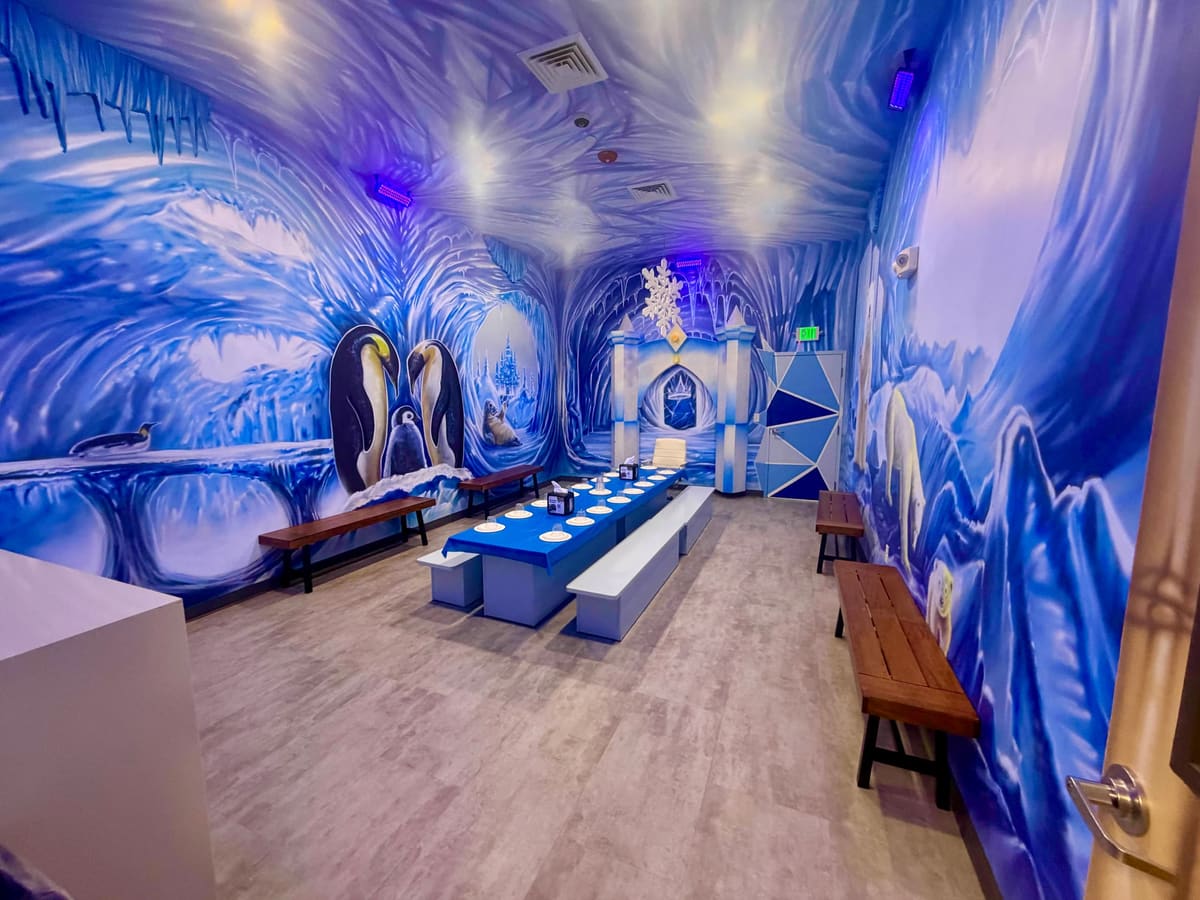 Ice Room Themed Room