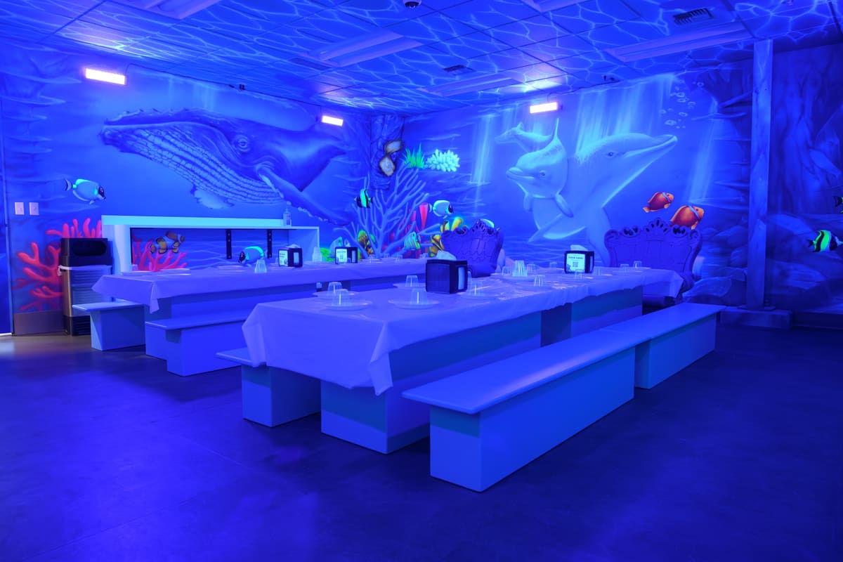 Underwater Themed Room
