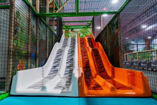 Animal Slides at Lava Island