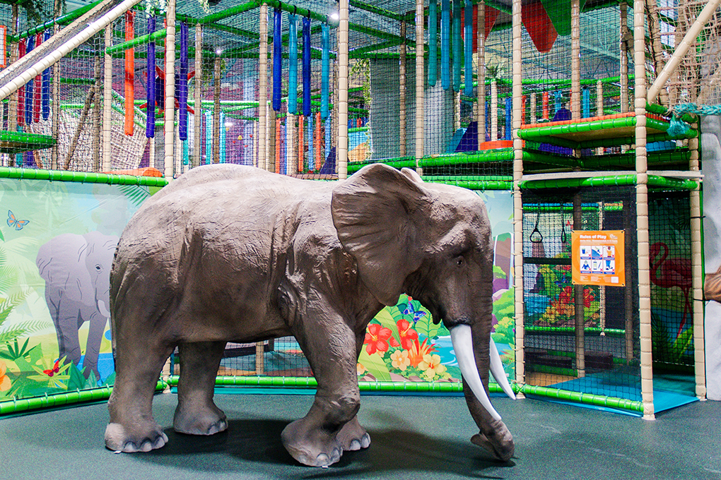 Indoor Play at Lava Island
