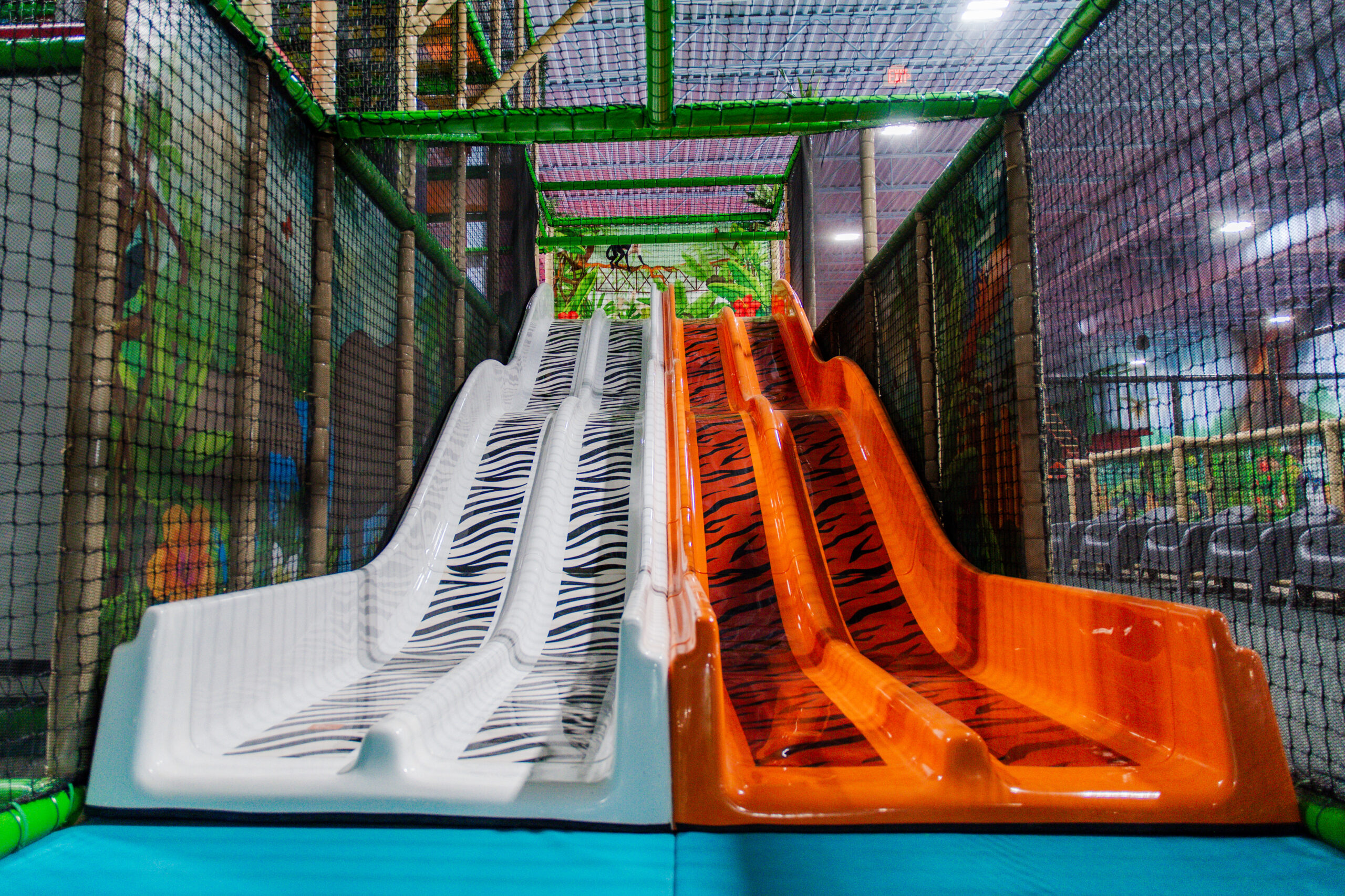 Animal Slides at Centennial, CO