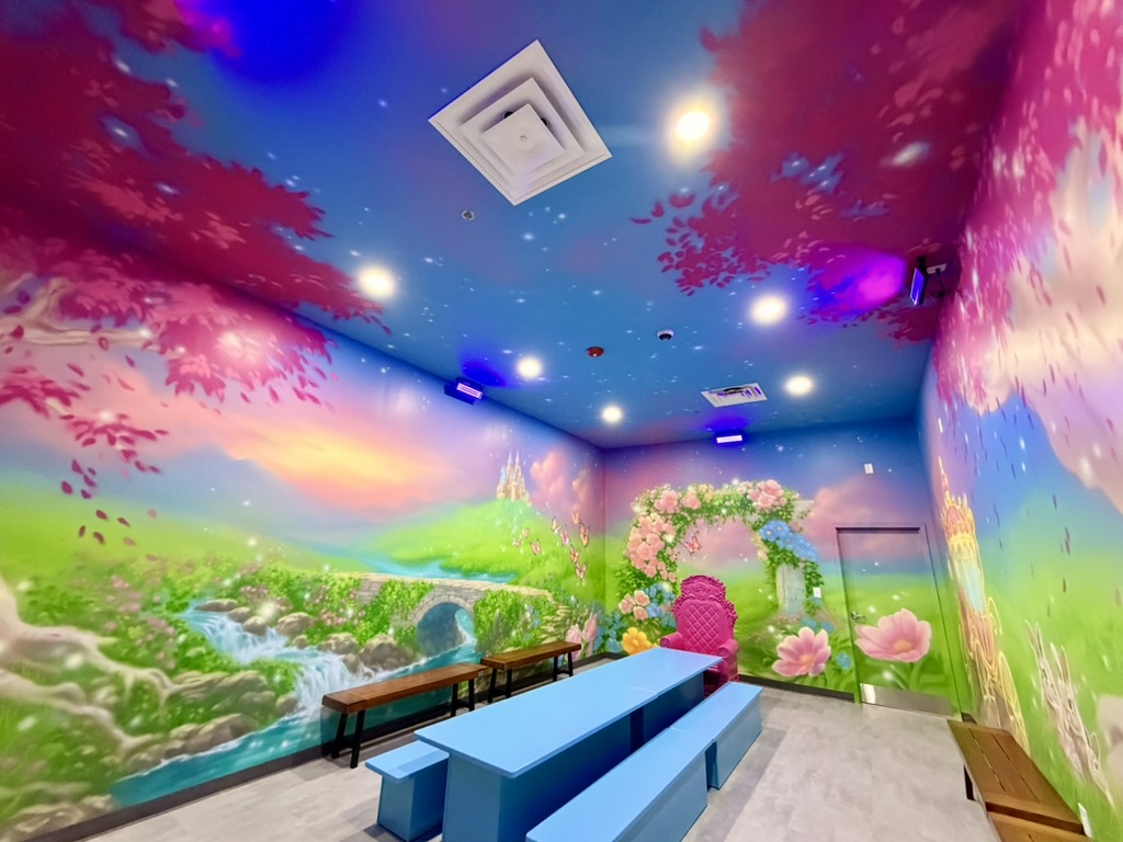 Princess Room Themed Room