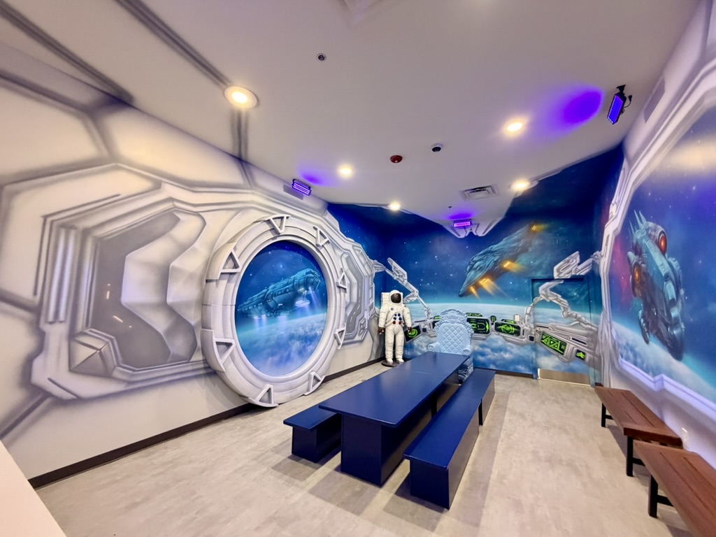 Space Room Themed Room