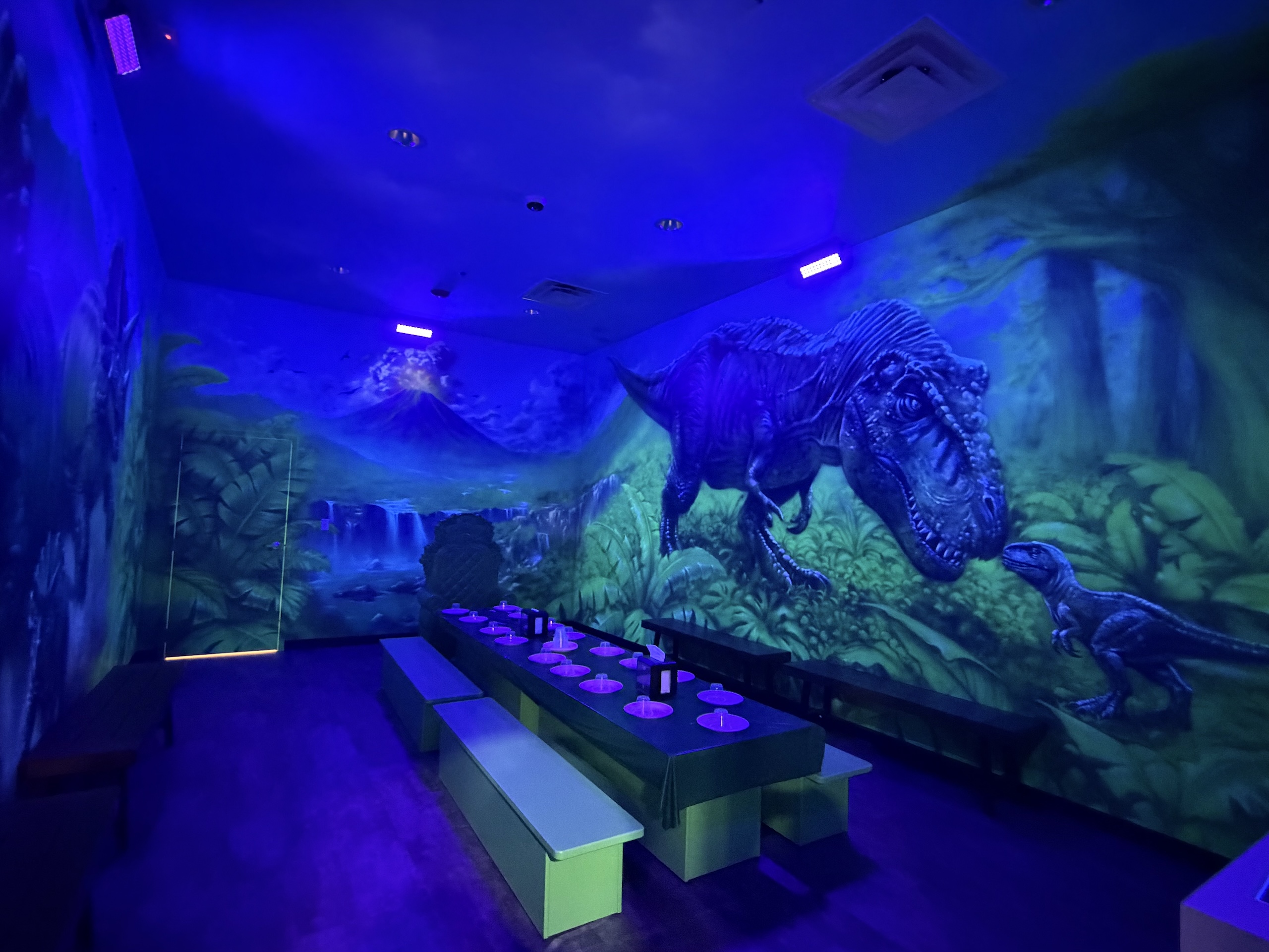 Dino Room Themed Room