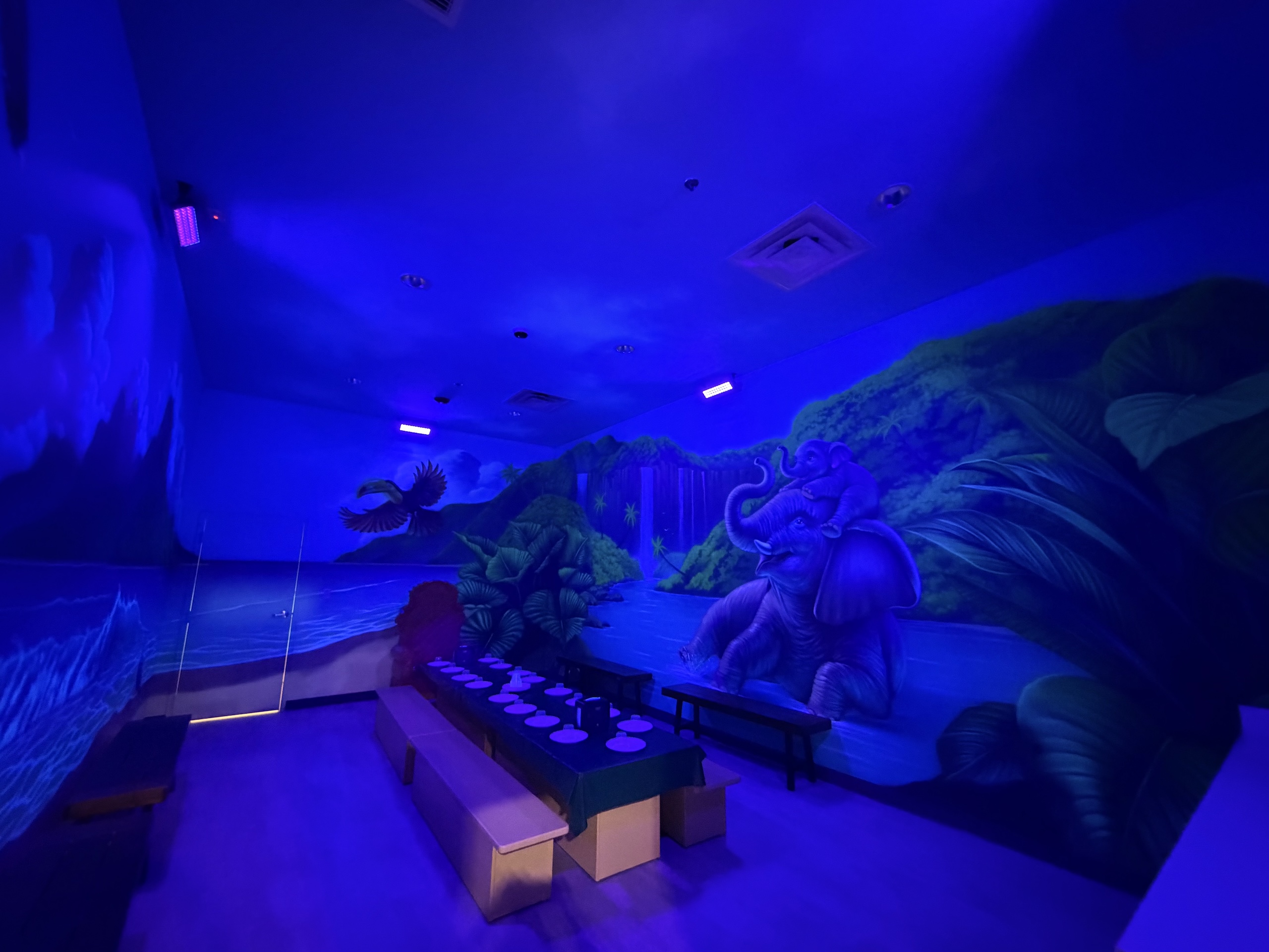 Jungle Room Themed Room