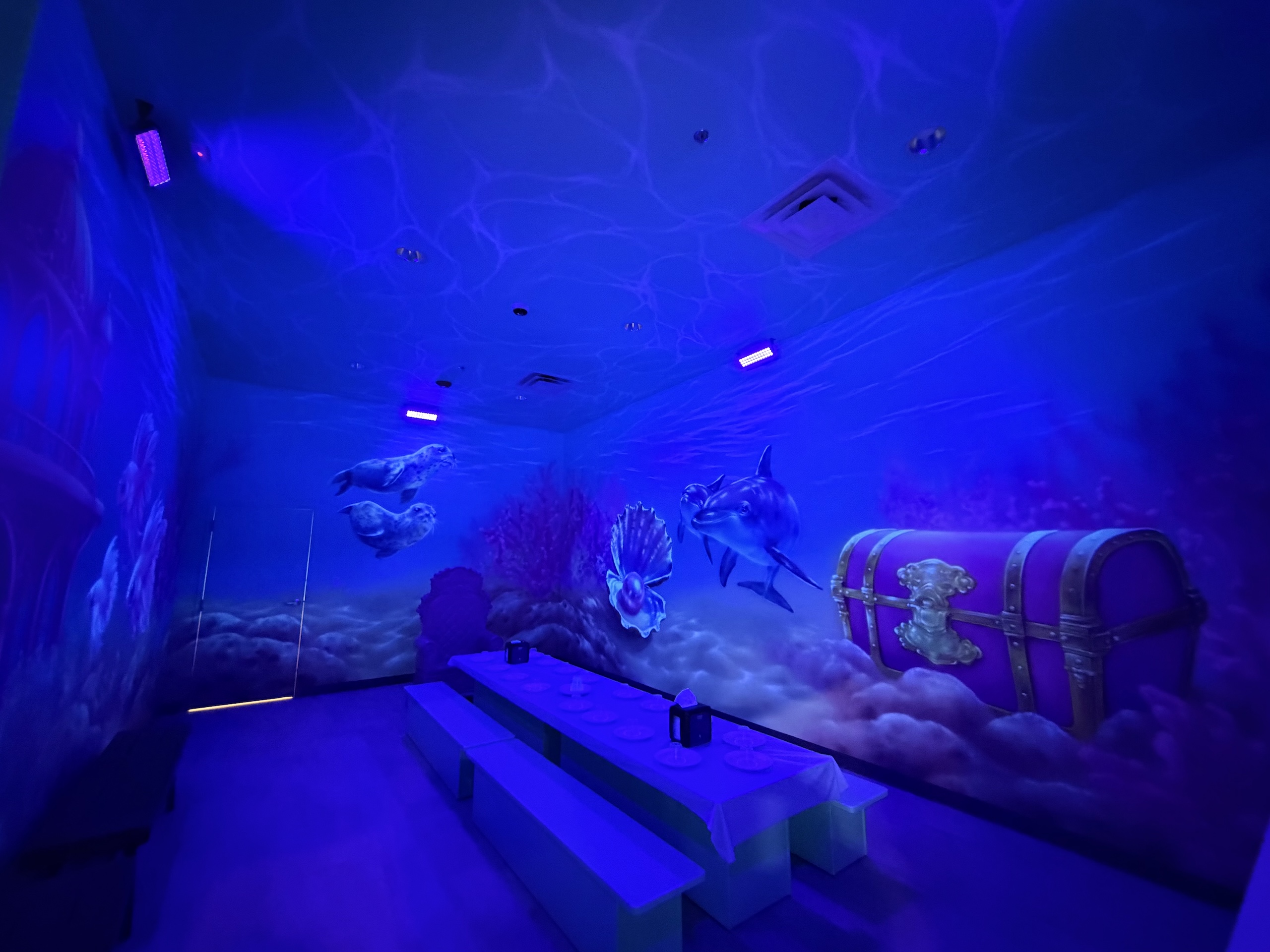 Mermaid Room Themed Room