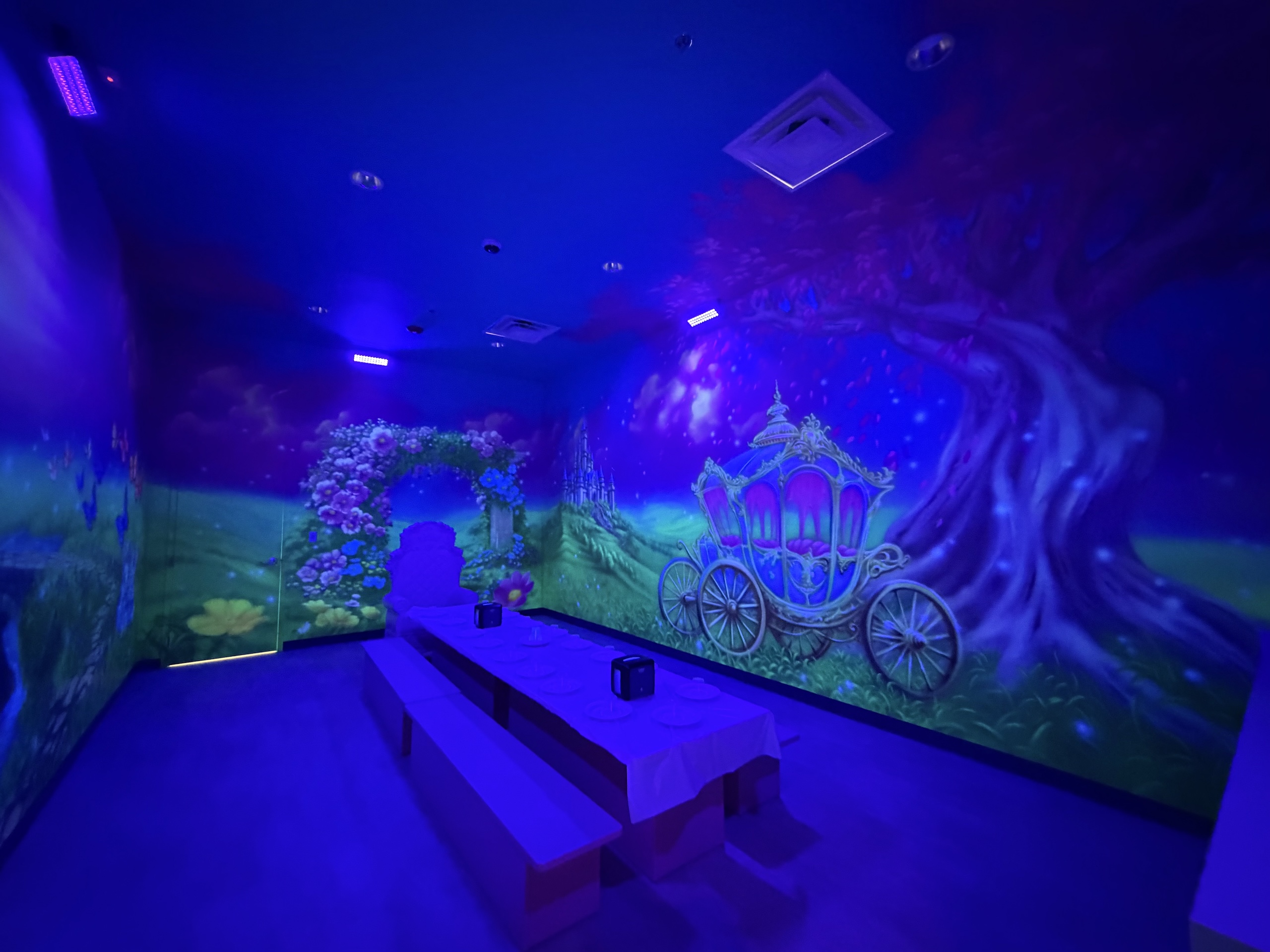 Princess Room Themed Room