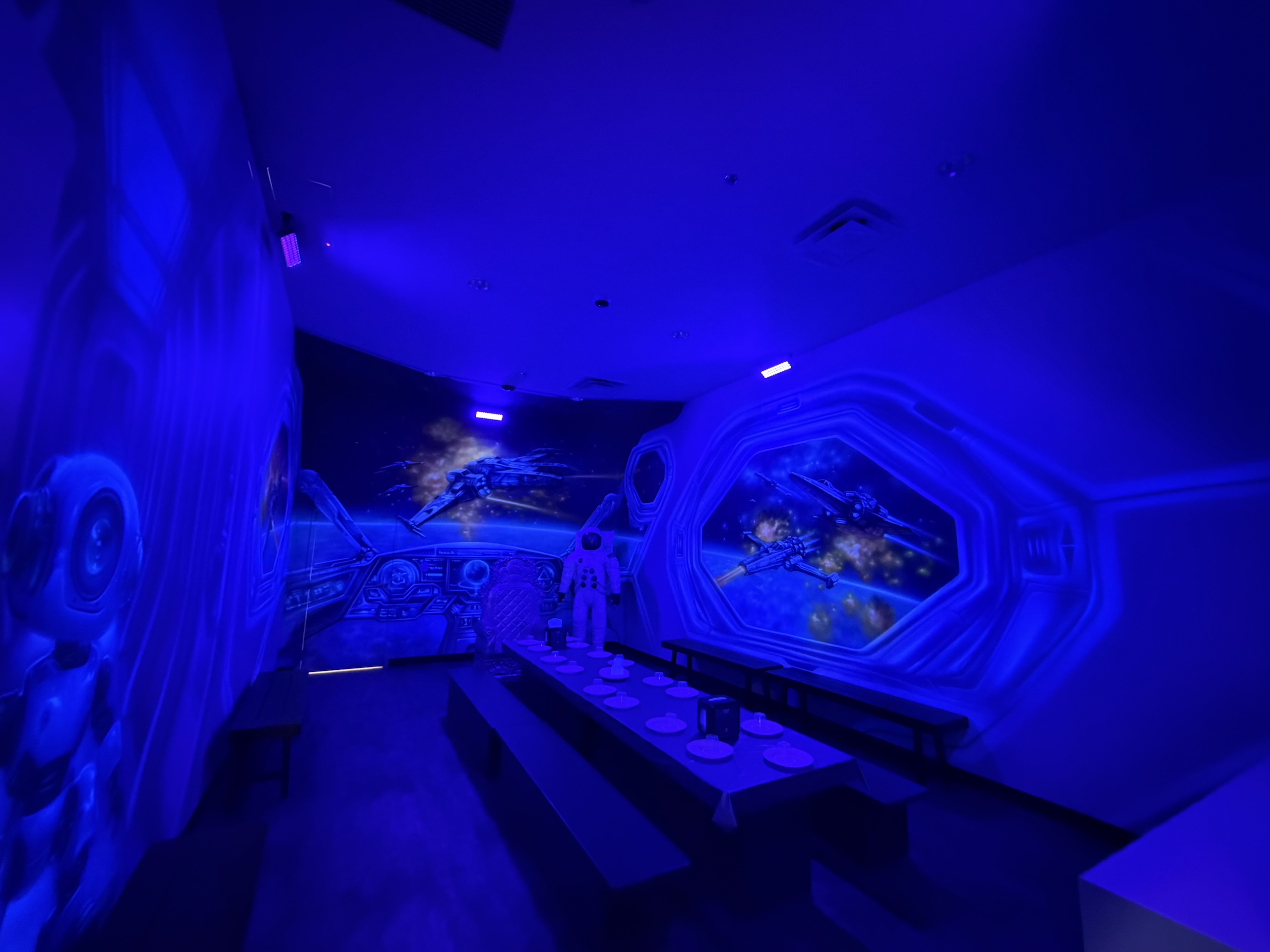 Space Room Themed Room