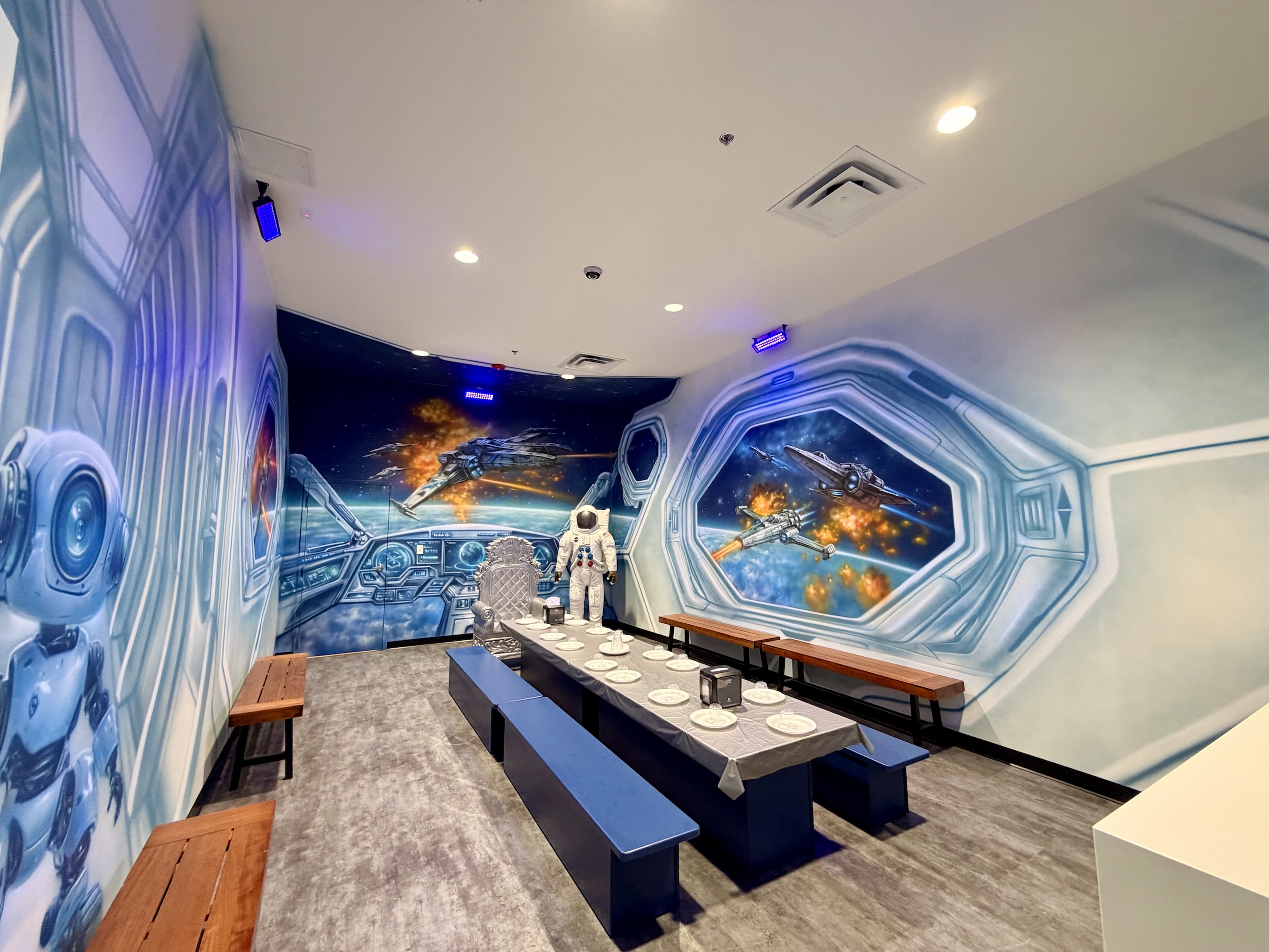 Space Room Themed Room