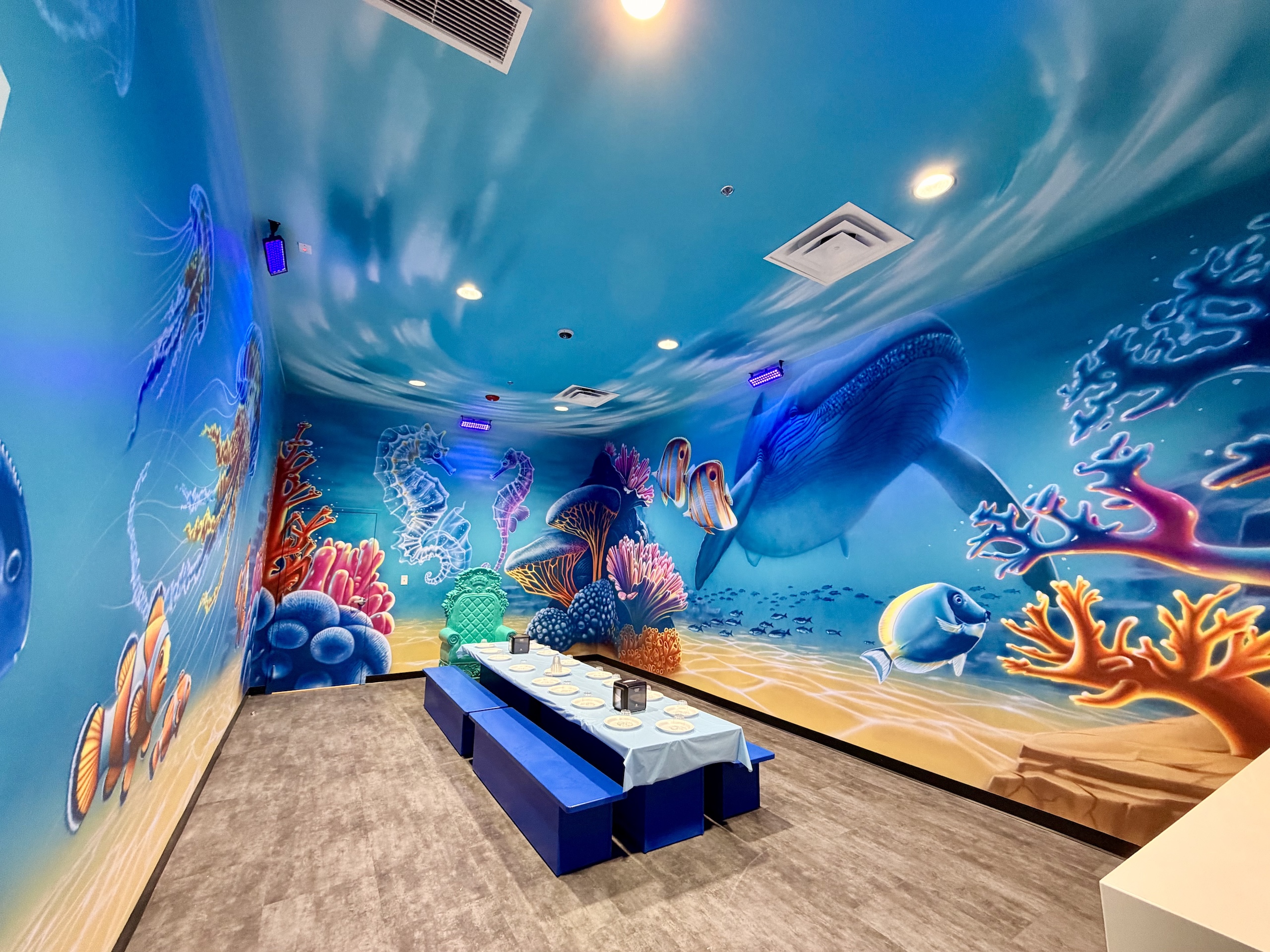 Underwater Room Themed Room