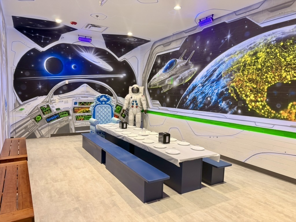 Space Room Themed Room