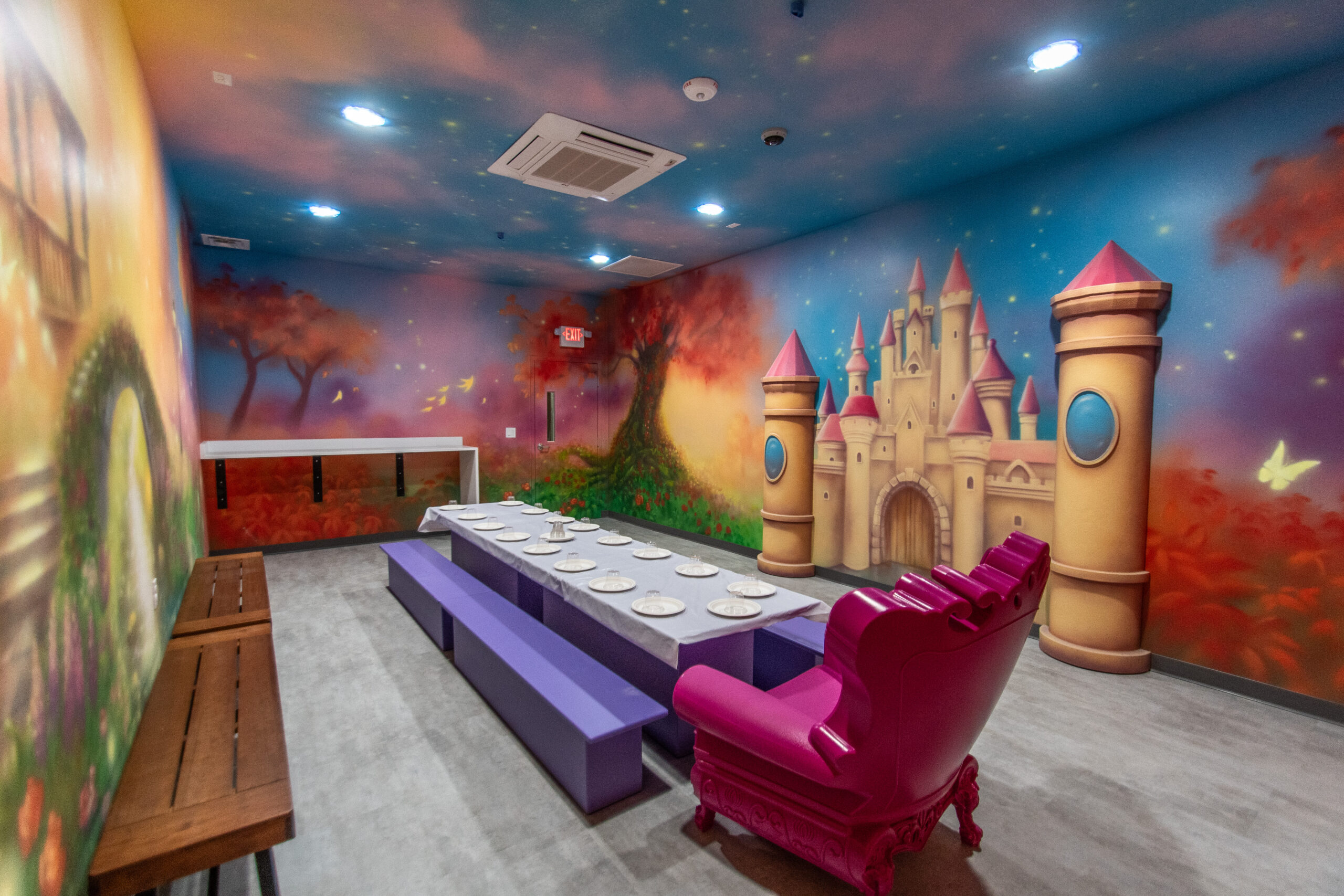 Princess Room Themed Room