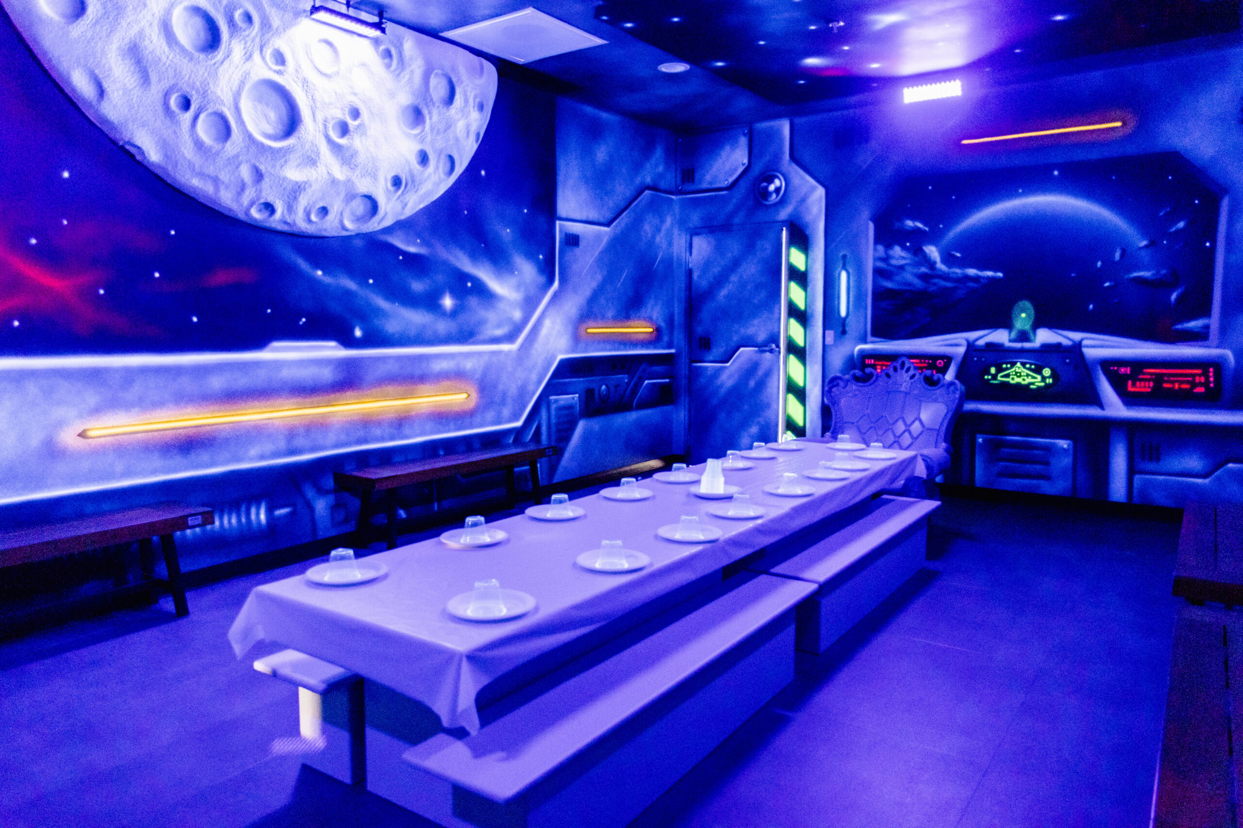 Space Room Themed Room
