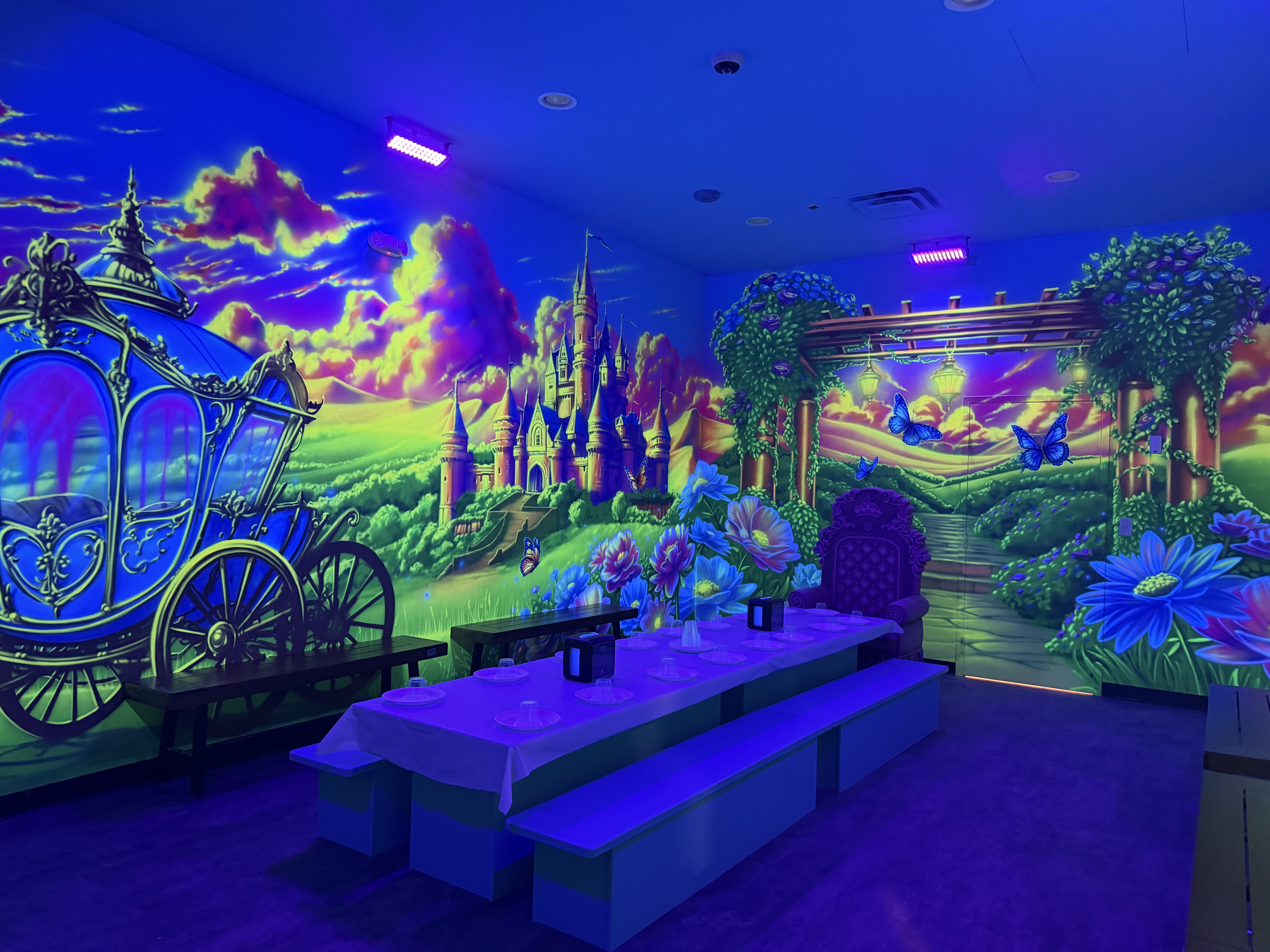 Princess Room Themed Room