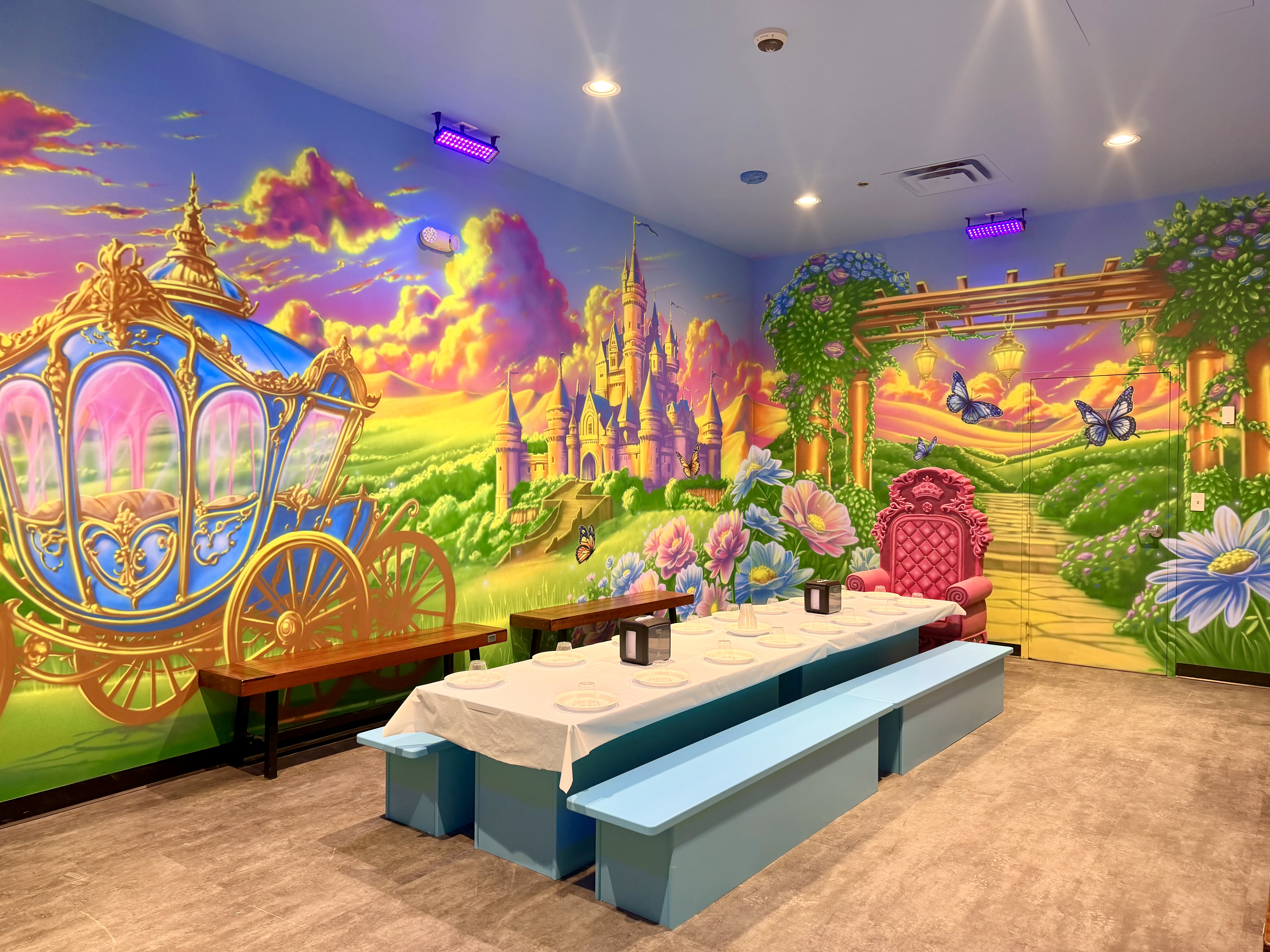 Princess Room Themed Room