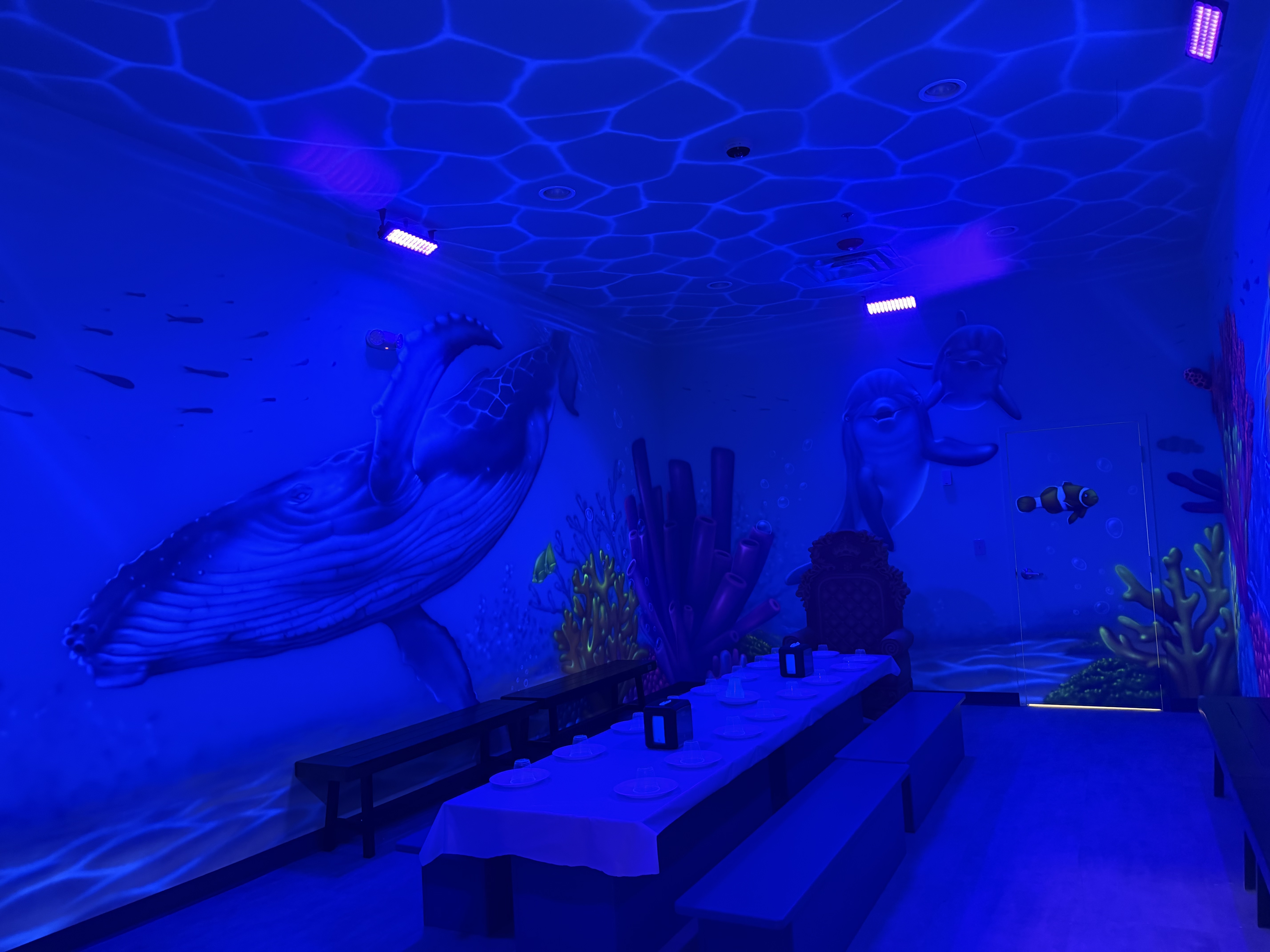 Underwater Room Themed Room