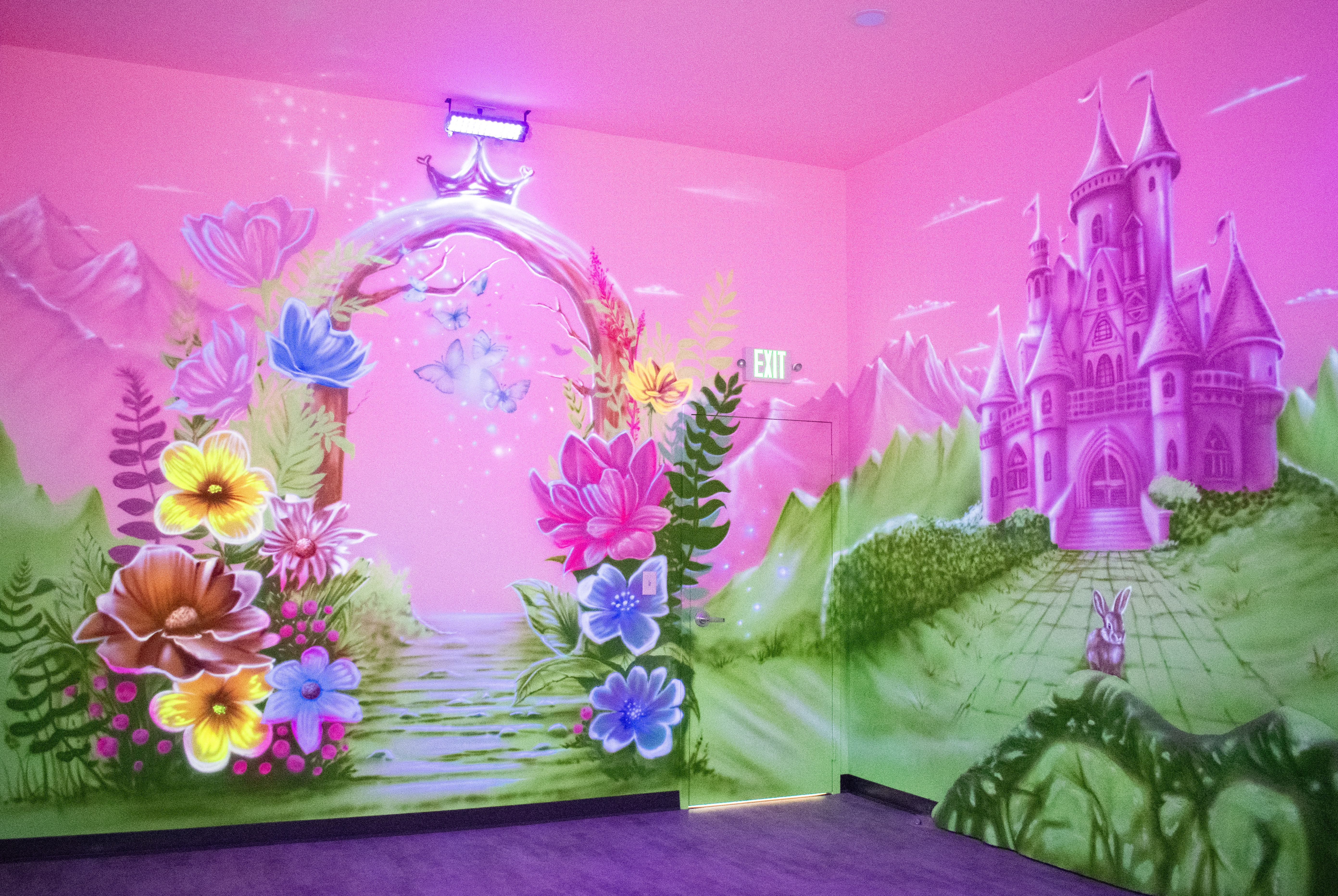 Princess Room Themed Room