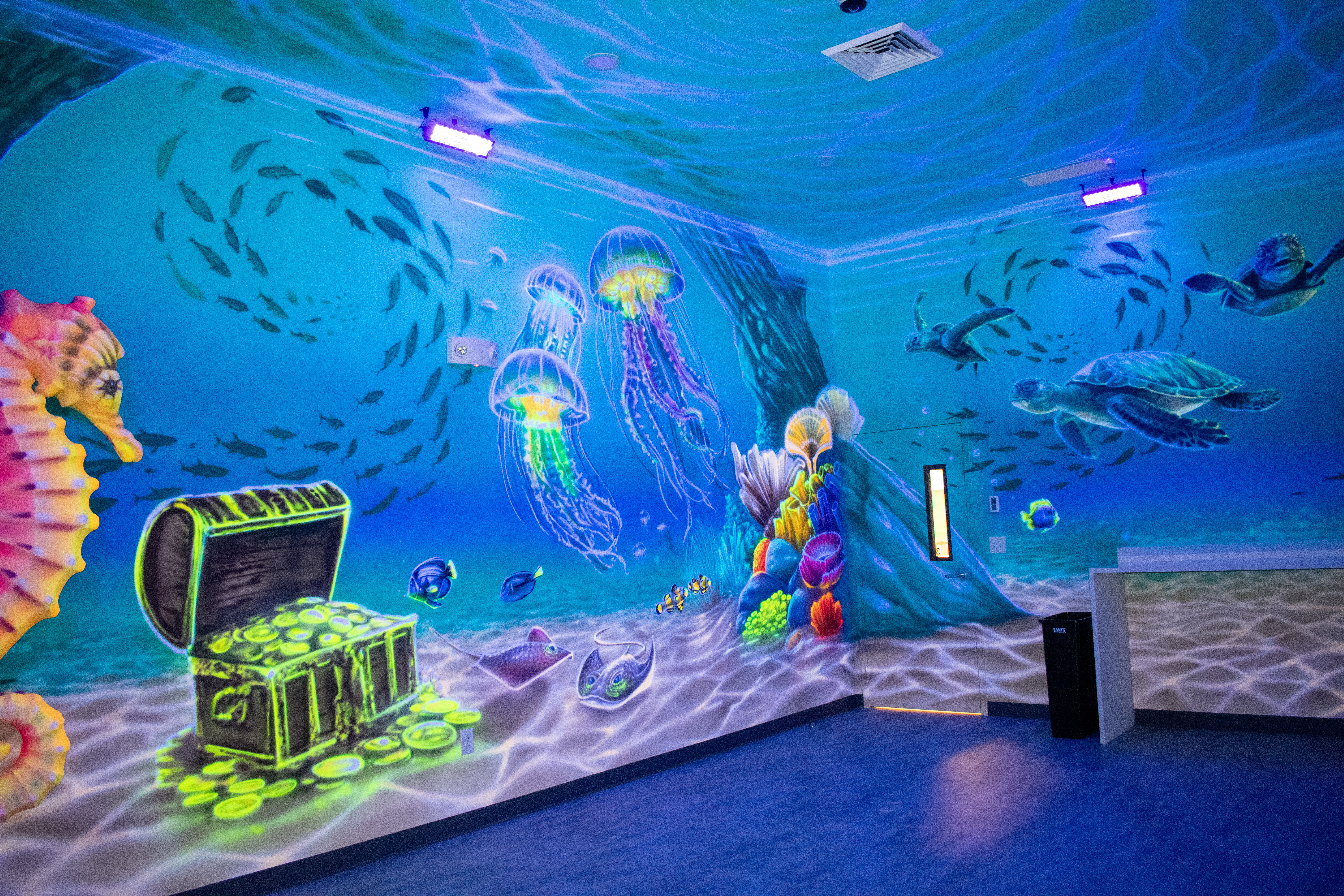 Underwater Room Themed Room